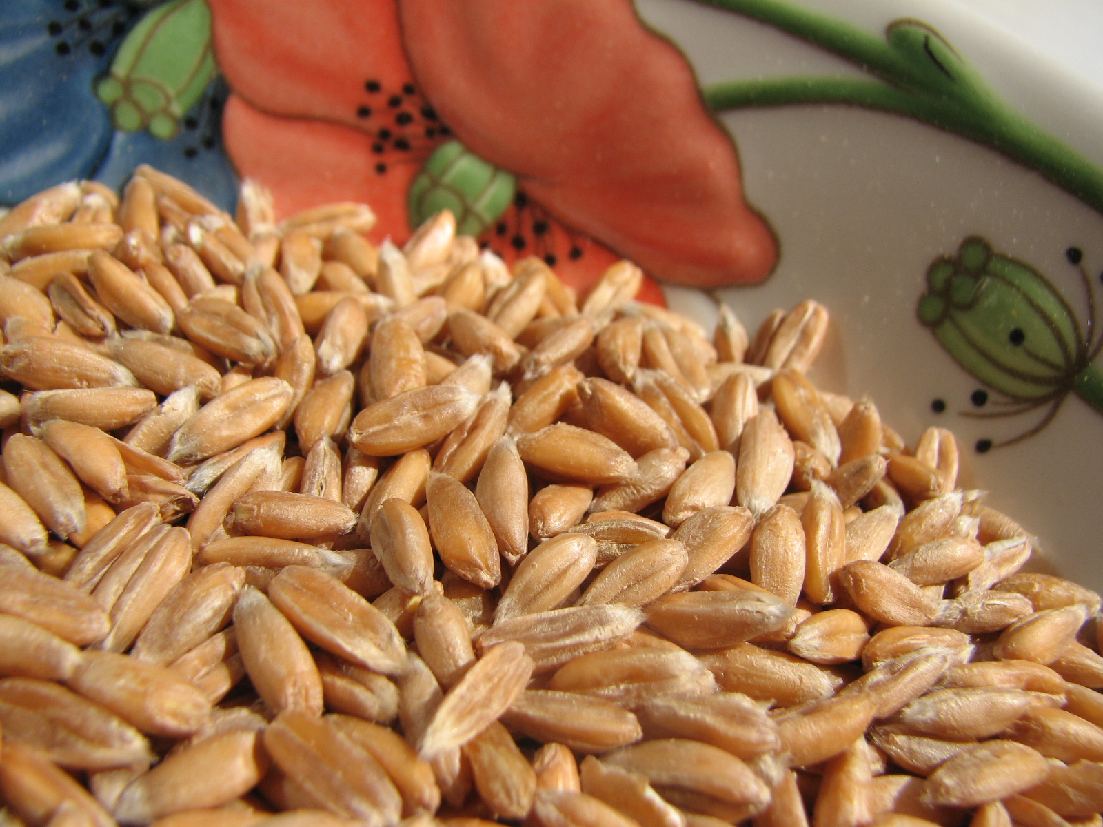 Roggenbrot mit Sauerteig per Brotbackautomaten