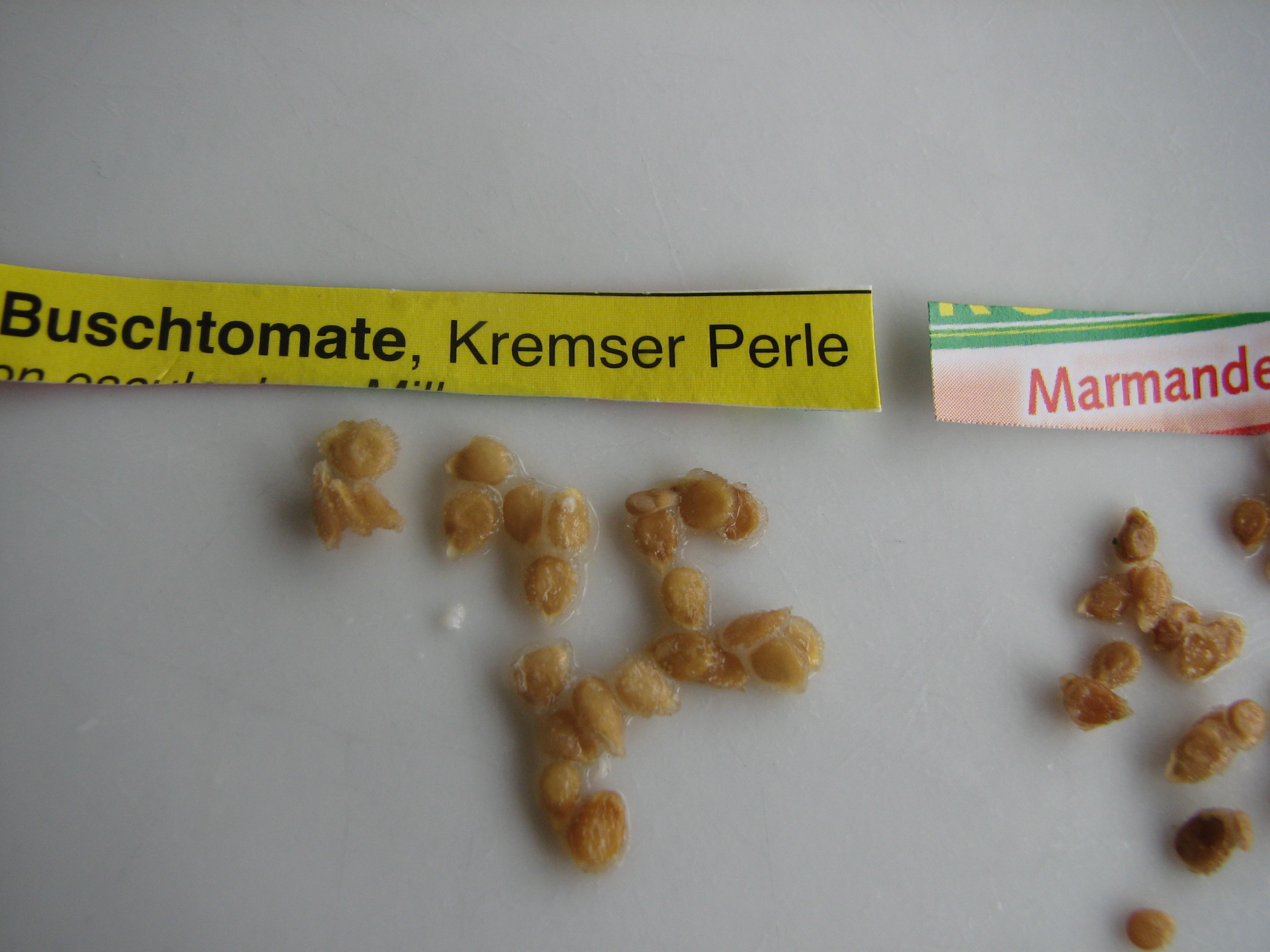 Tomate