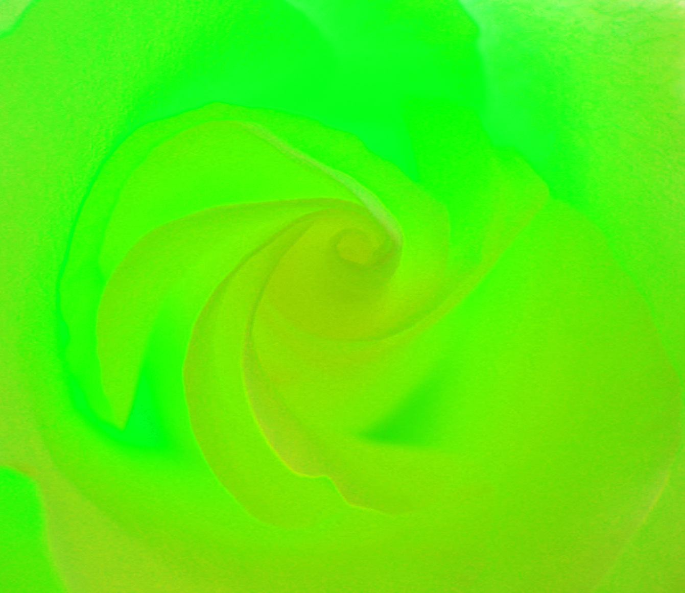Pflanzenheilkunde