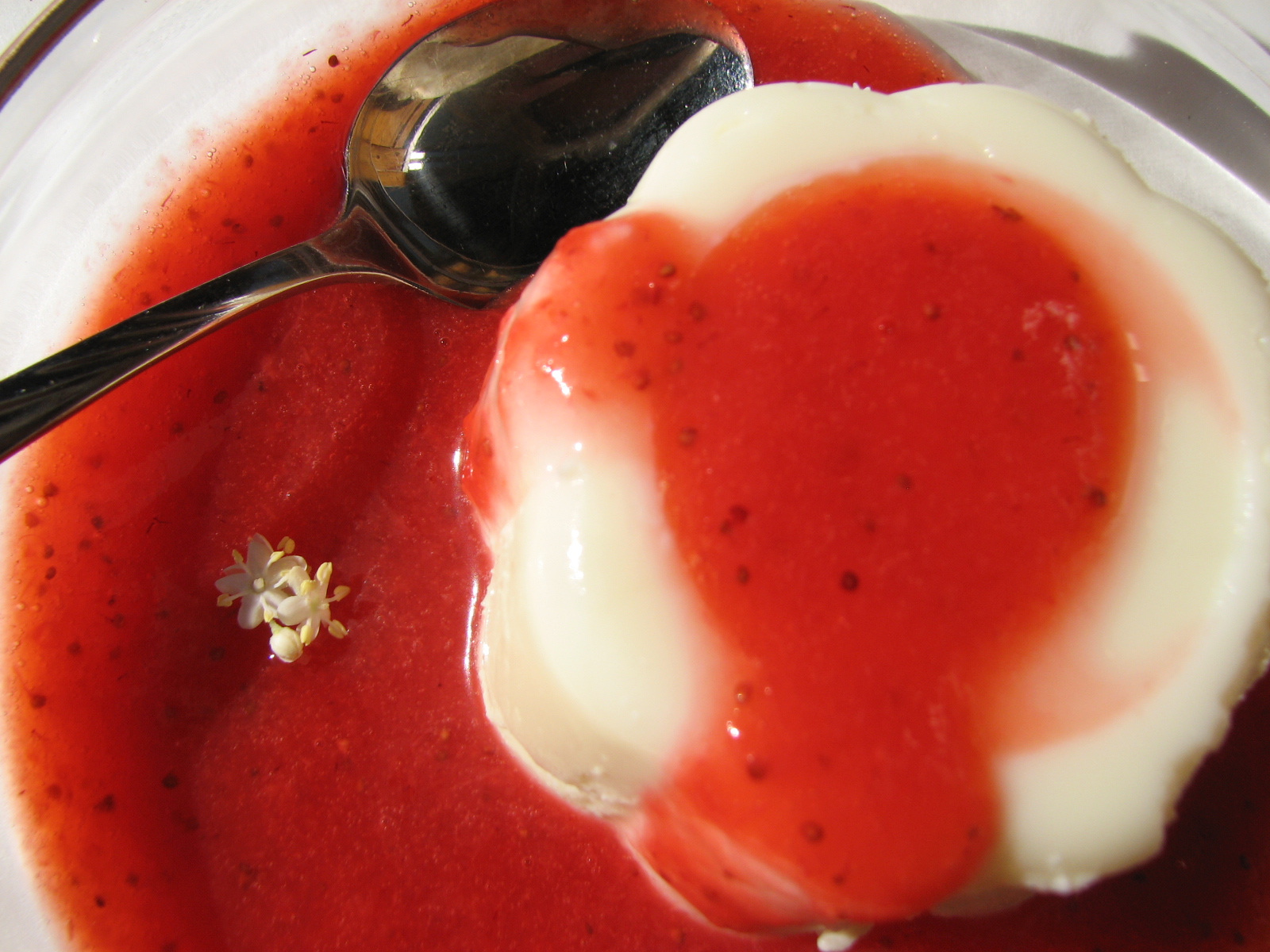 Holunderblüten-Panna Cotta