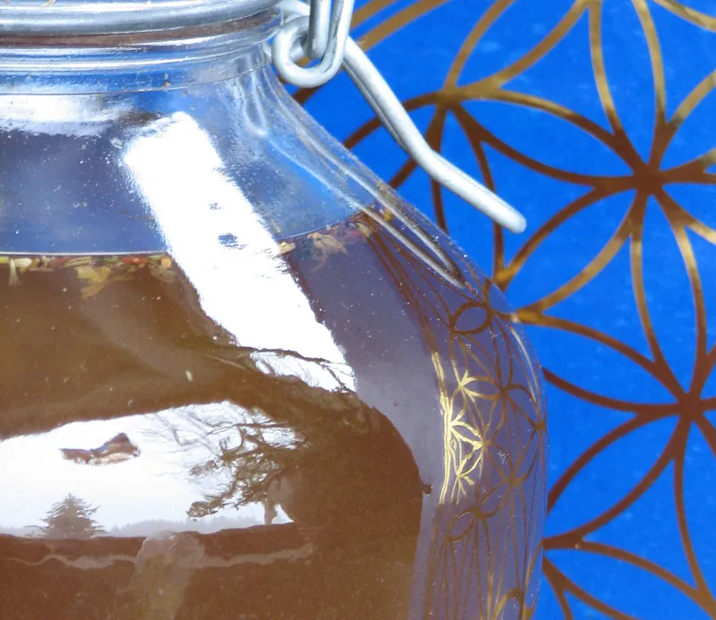 Tinkturen: Pflanzenauszug mit hochprozentigem Alkohol