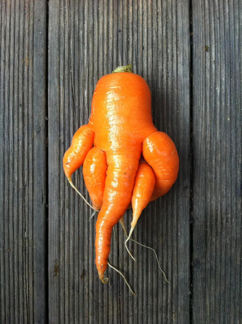 Karotte
