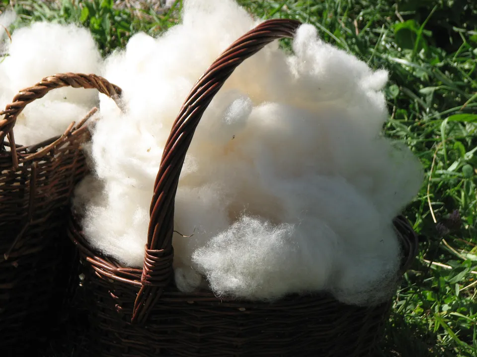 Schafwolle als Dünger und Schneckenvertreiber