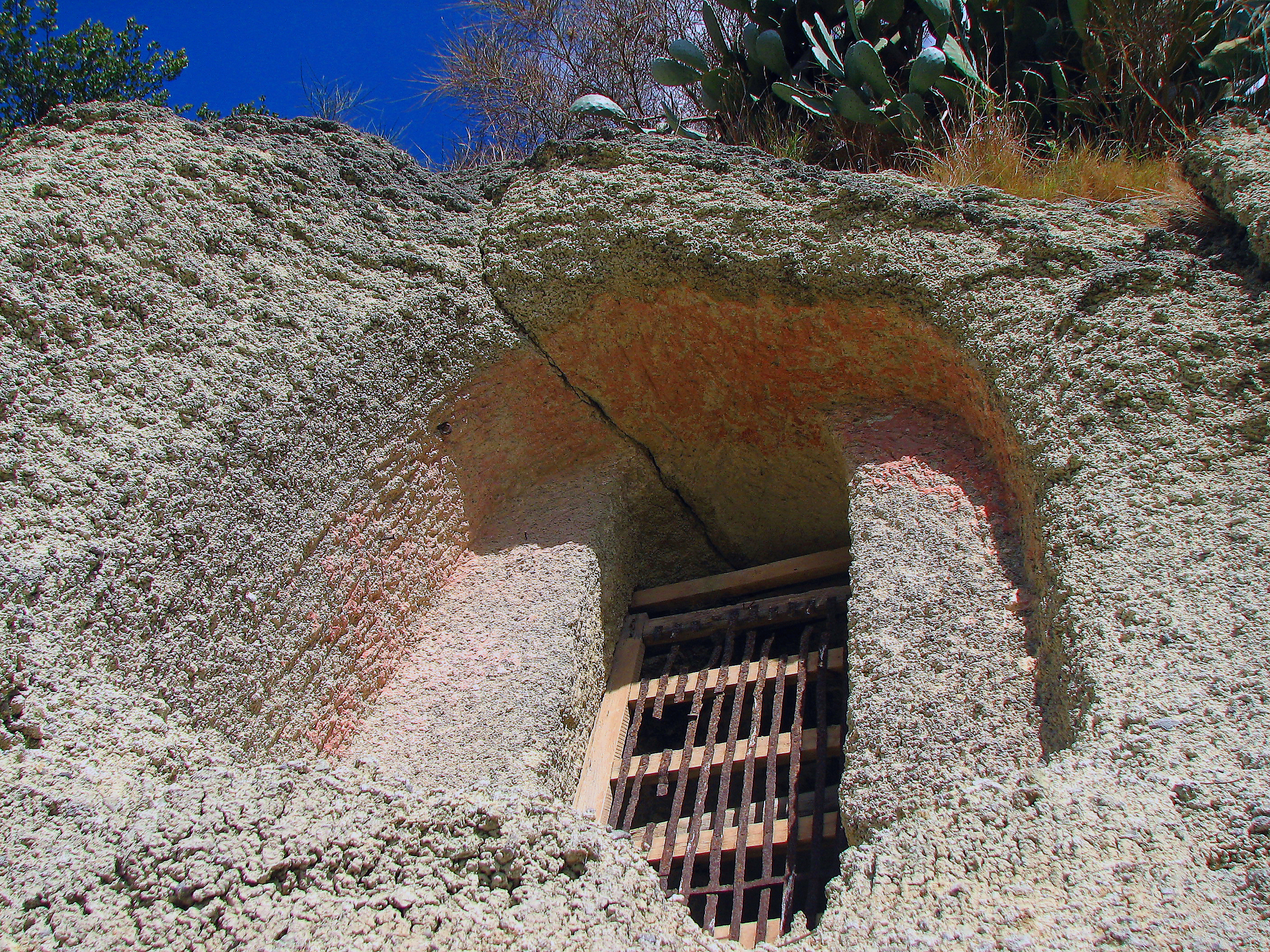 Weintrauben mit Wildem Fenchel