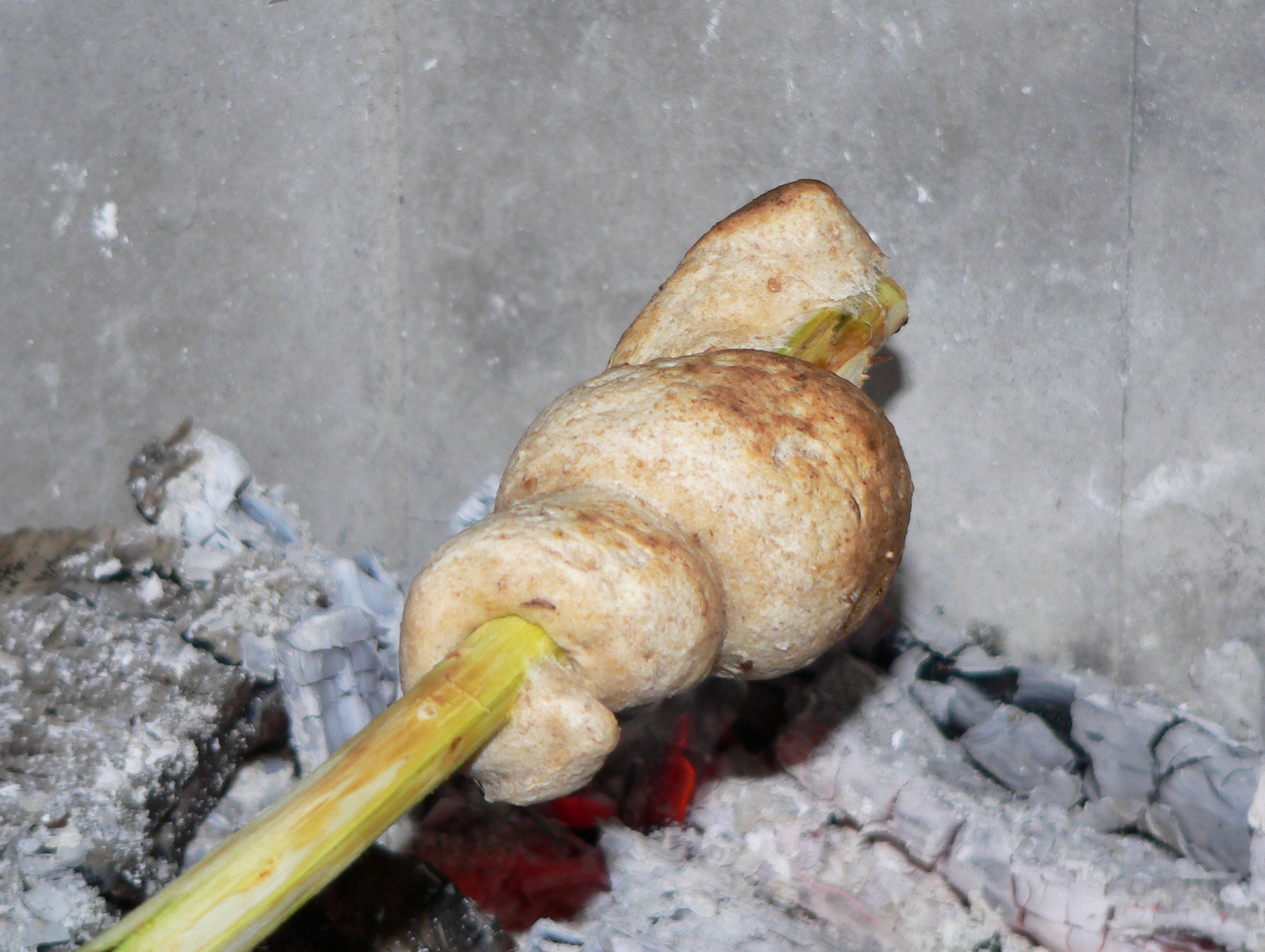 Stockbrot