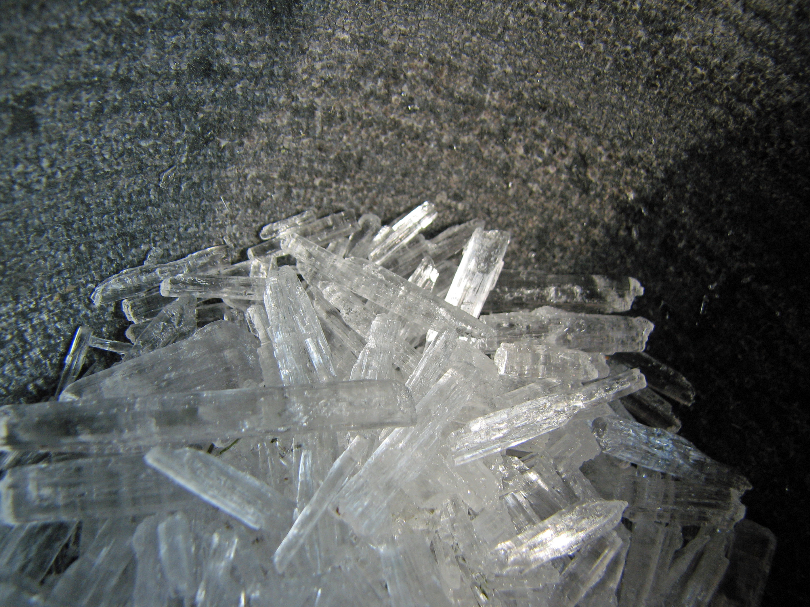 Pfefferminze