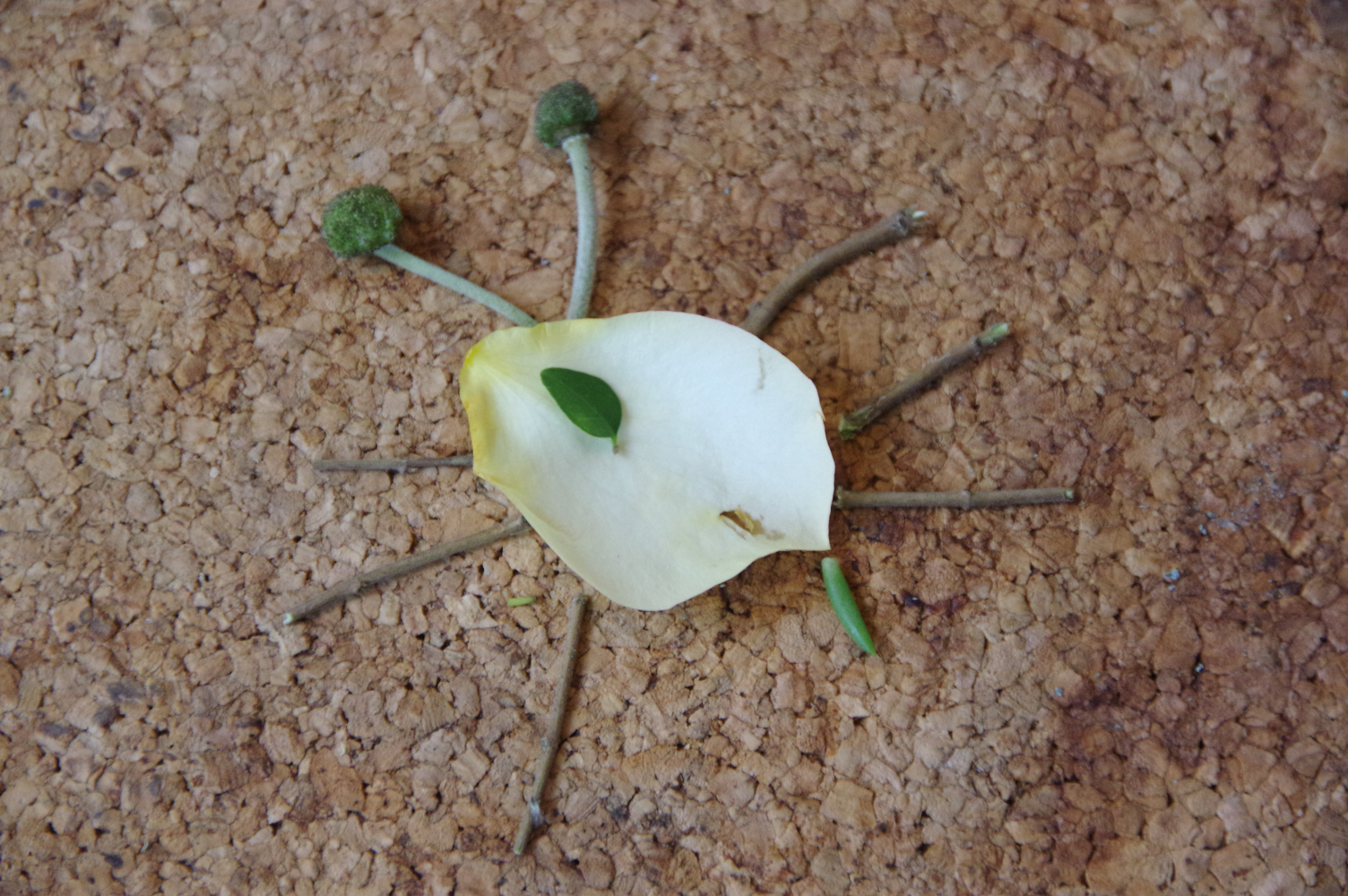 Blättertiere basteln