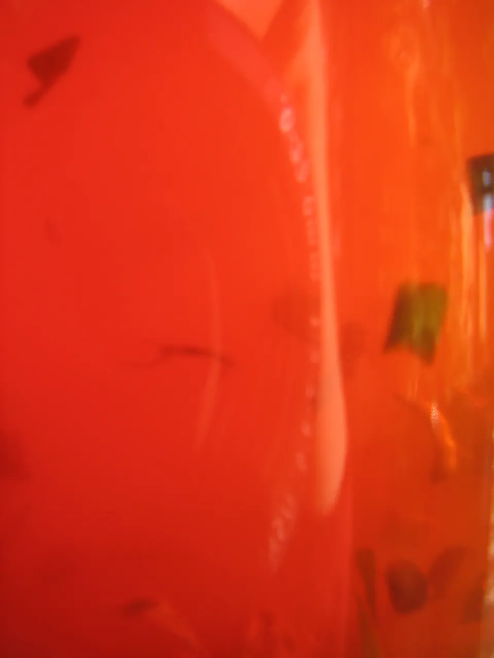 Wissenswertes zum Thema "Gicht"