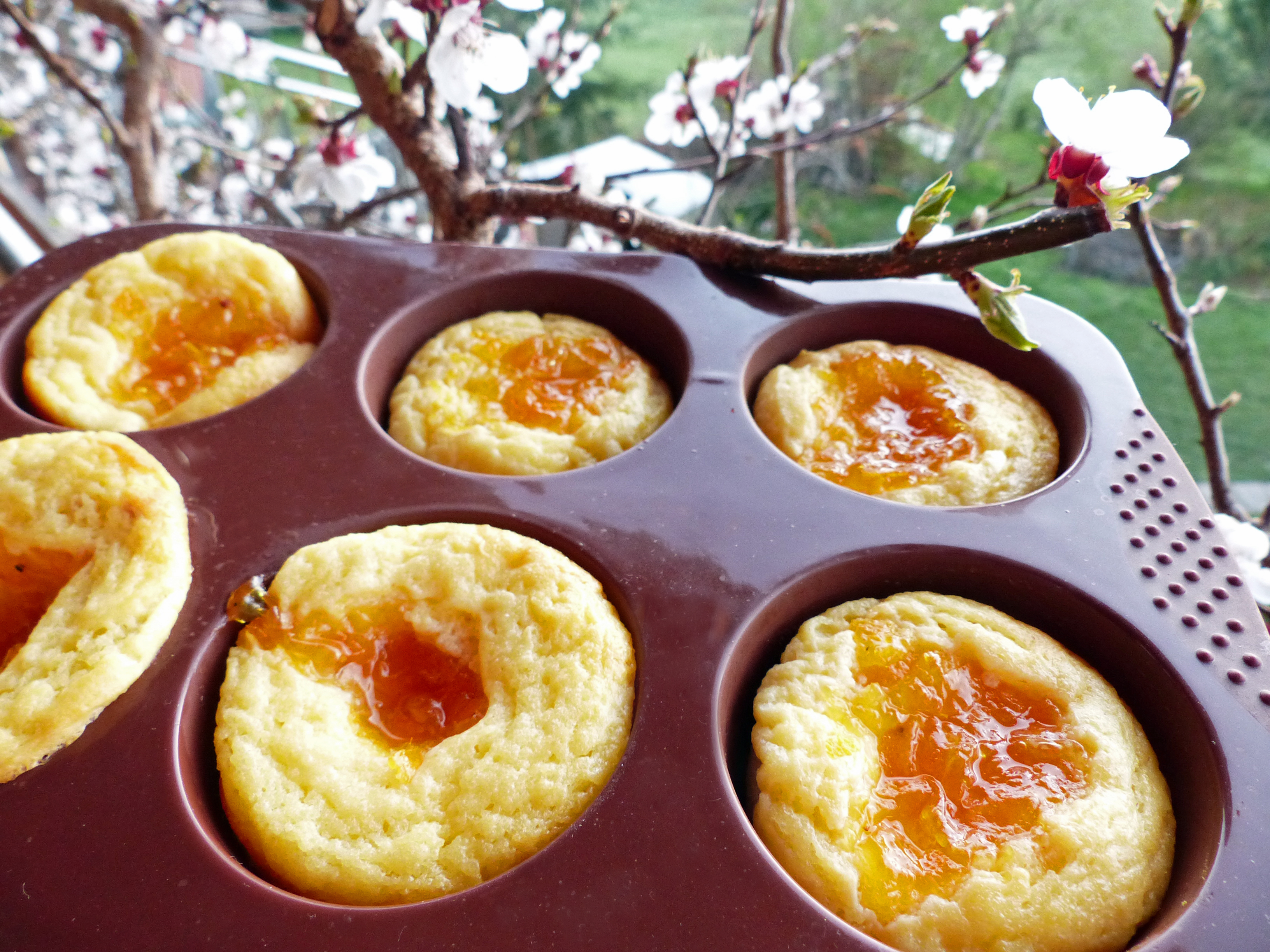 Topfenkuchen