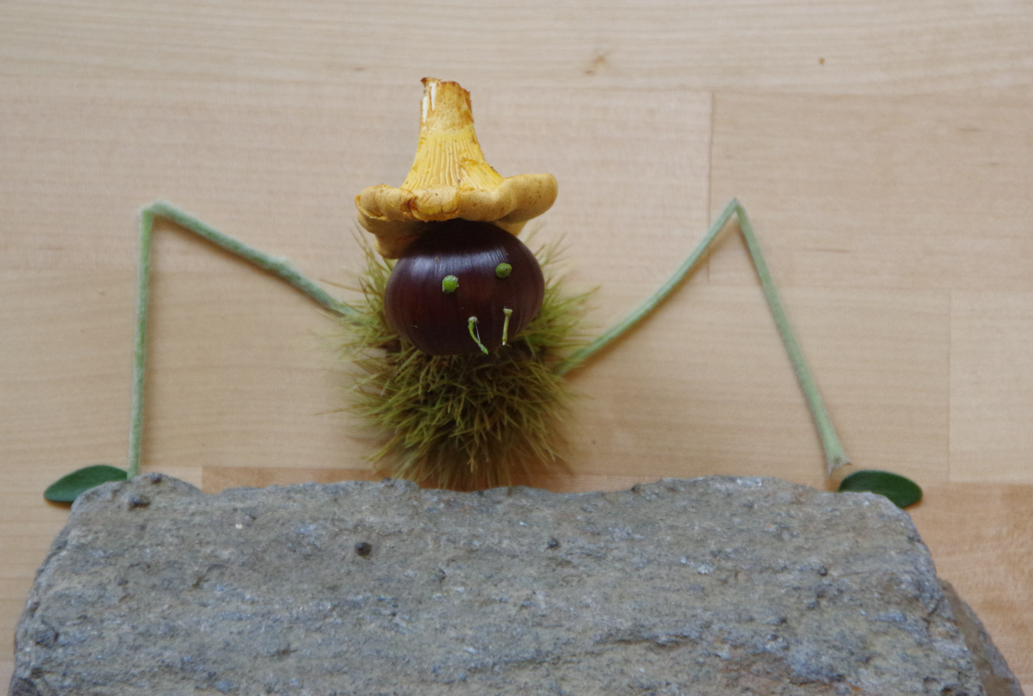 Blättertiere basteln