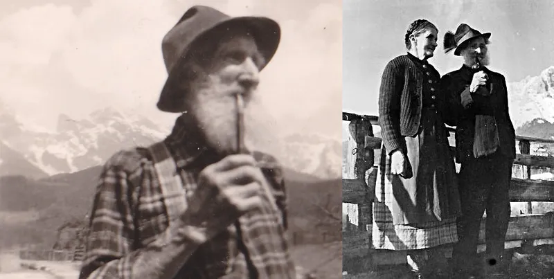 Das Recht auf Nutzung von wilden Tieren und wilden Pflanzen im Mittelalter 