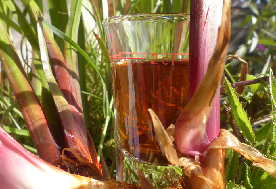 Kräuterbitter, Magenbitter