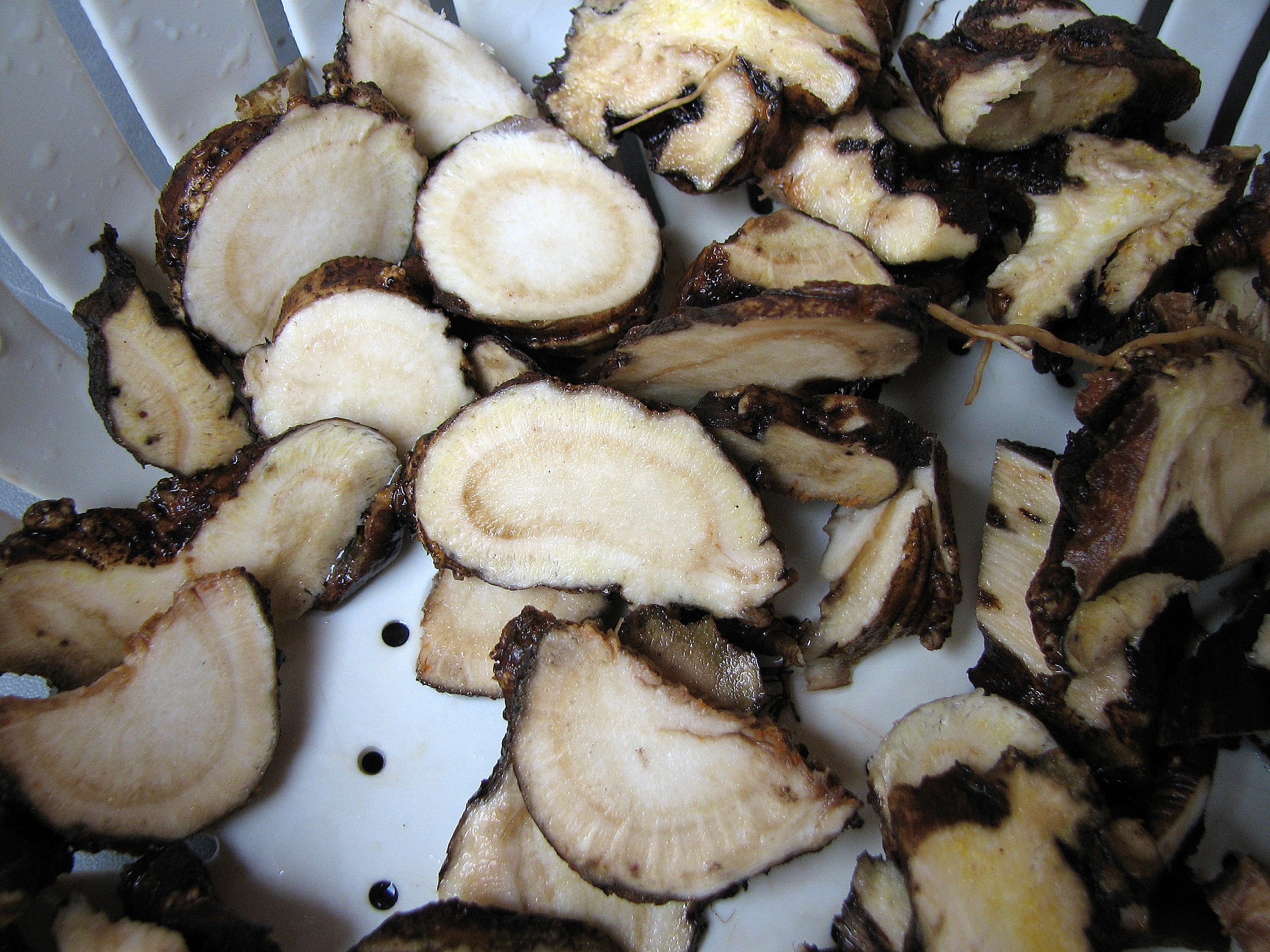 Liebstöckel