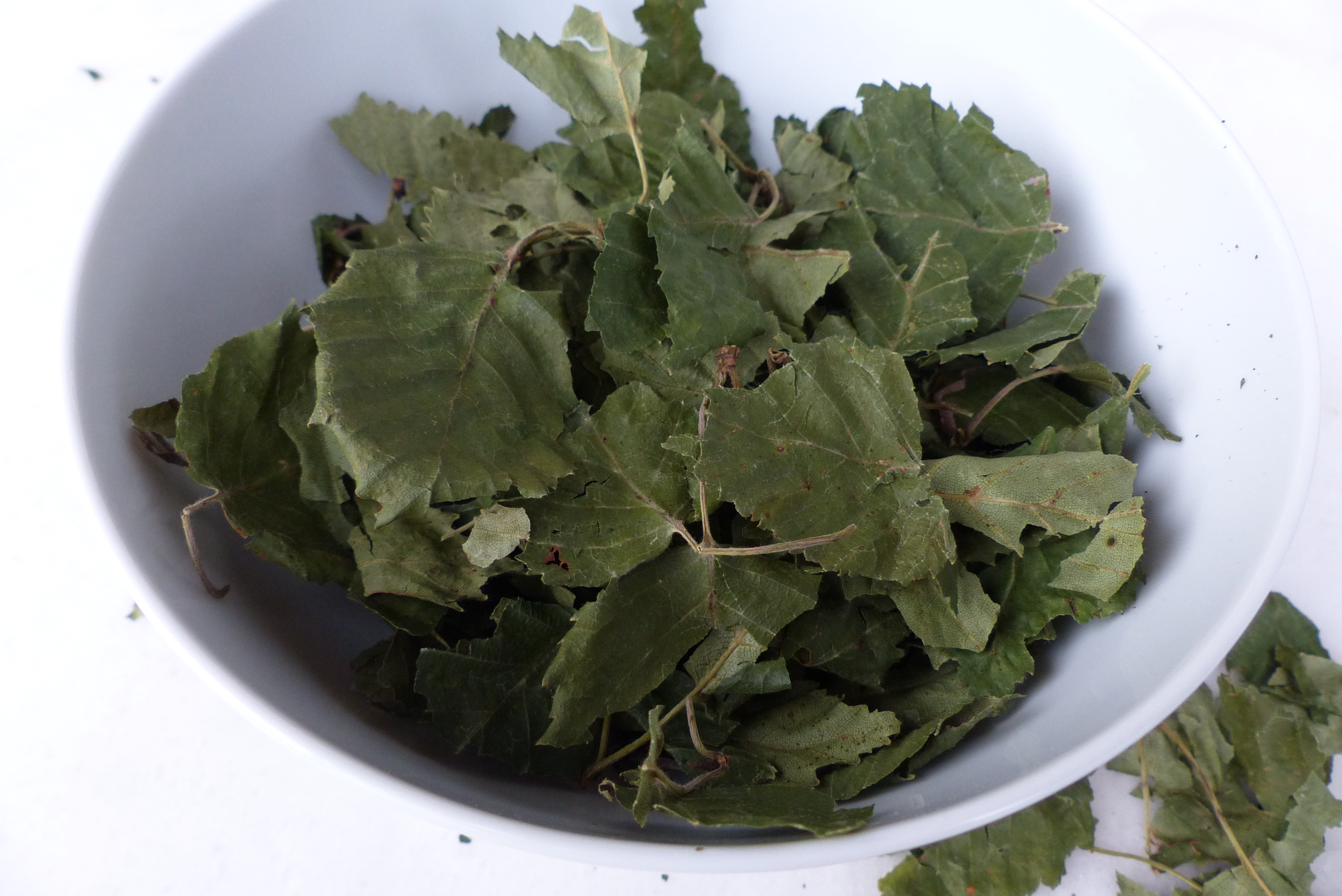 Birkenessig - für Haut und Haar