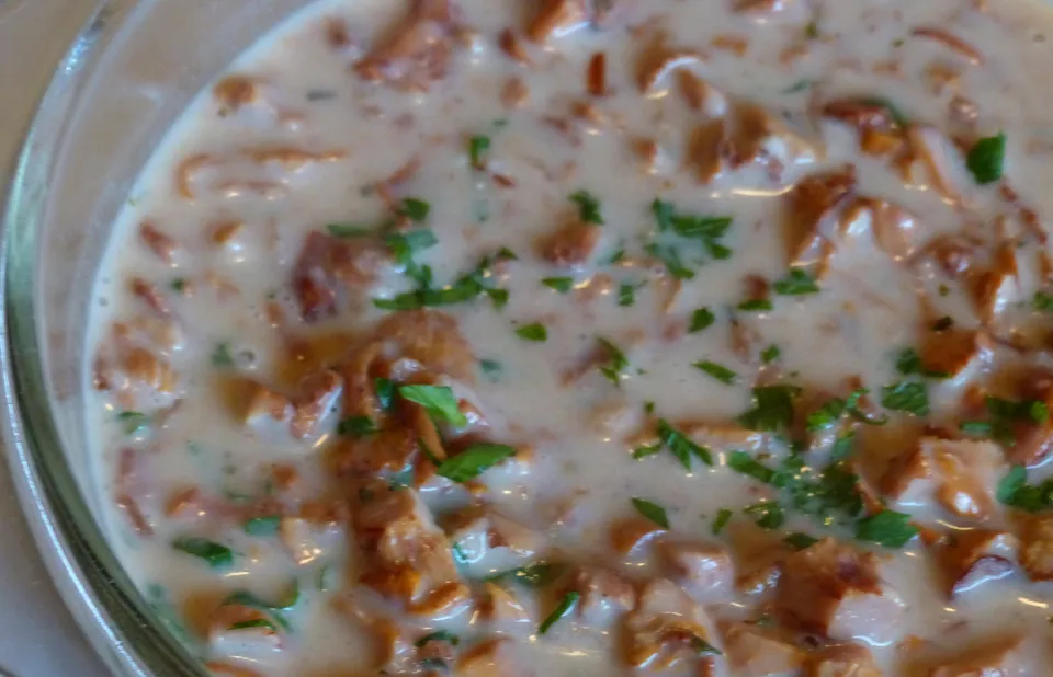 Pilzsauce à la Italia