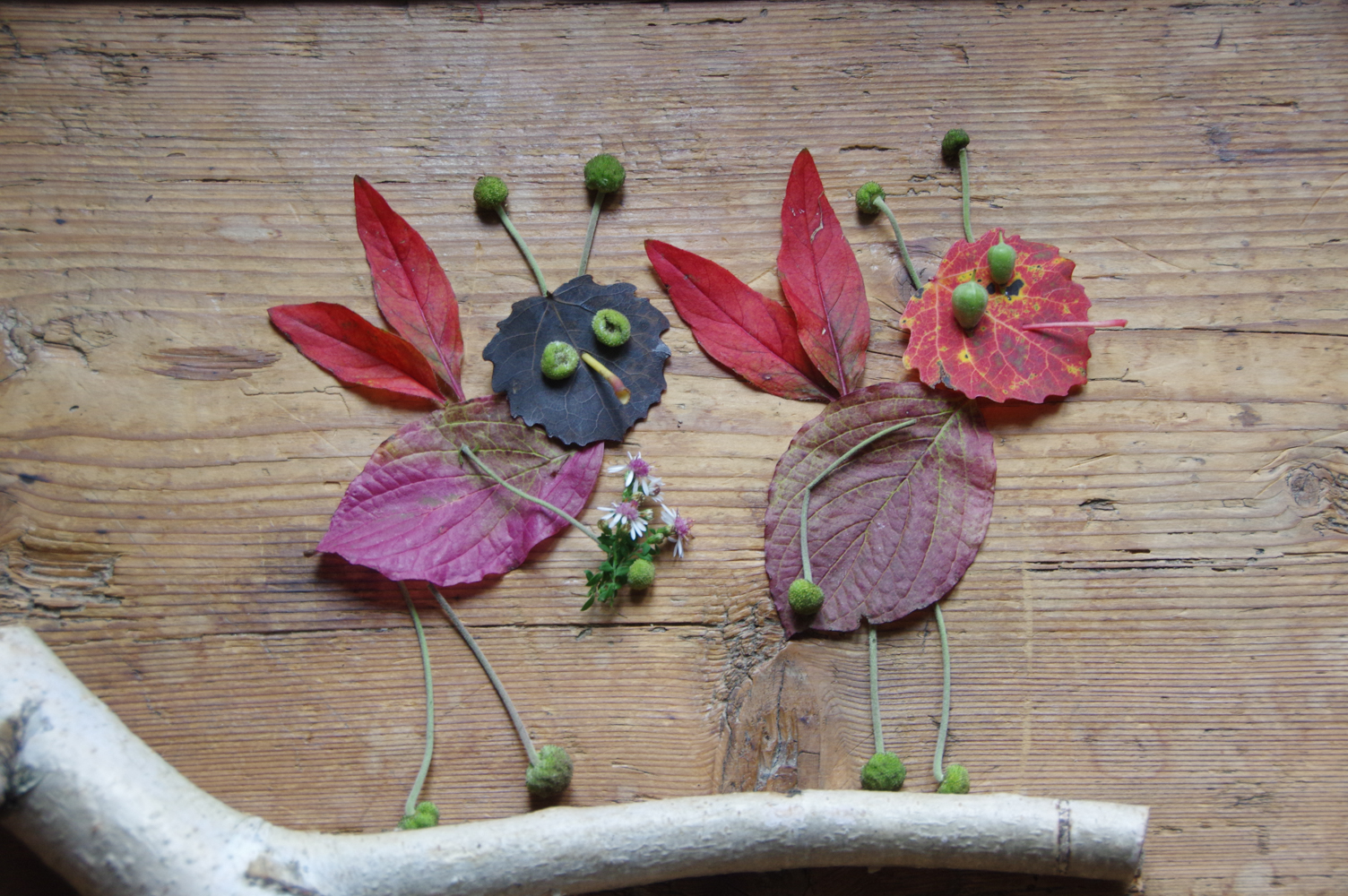 Blättertiere basteln