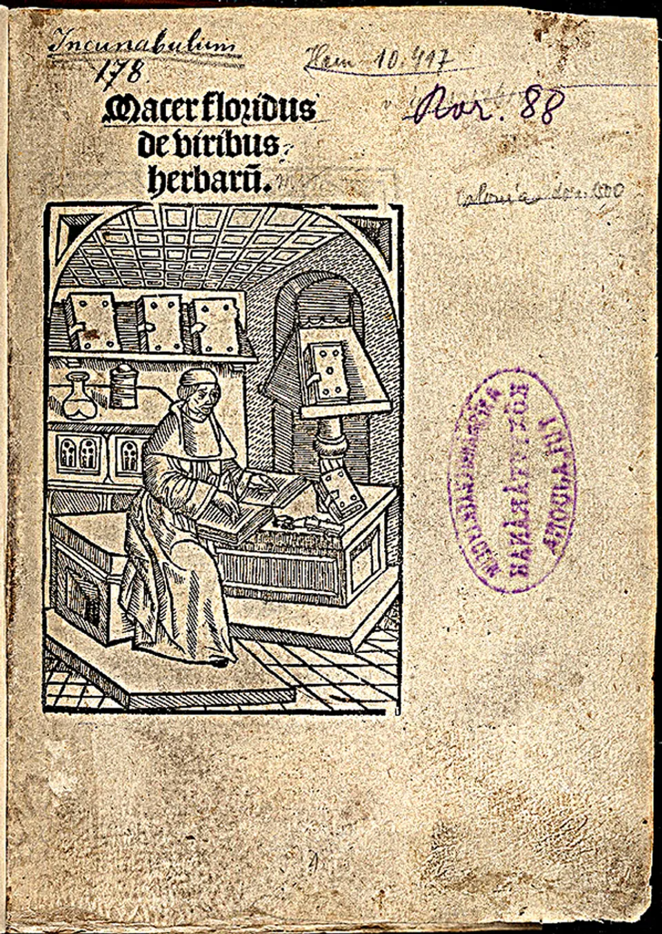 „Macer floridus“