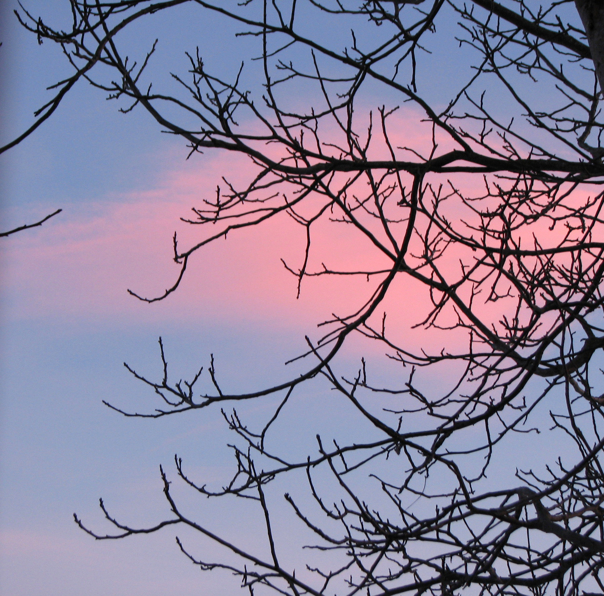 Basentee "Schöner Abend"