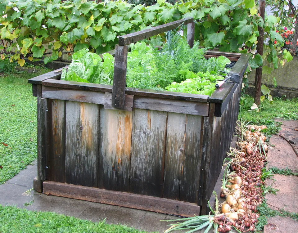Hochbeet aus Holz bauen und bepflanzen