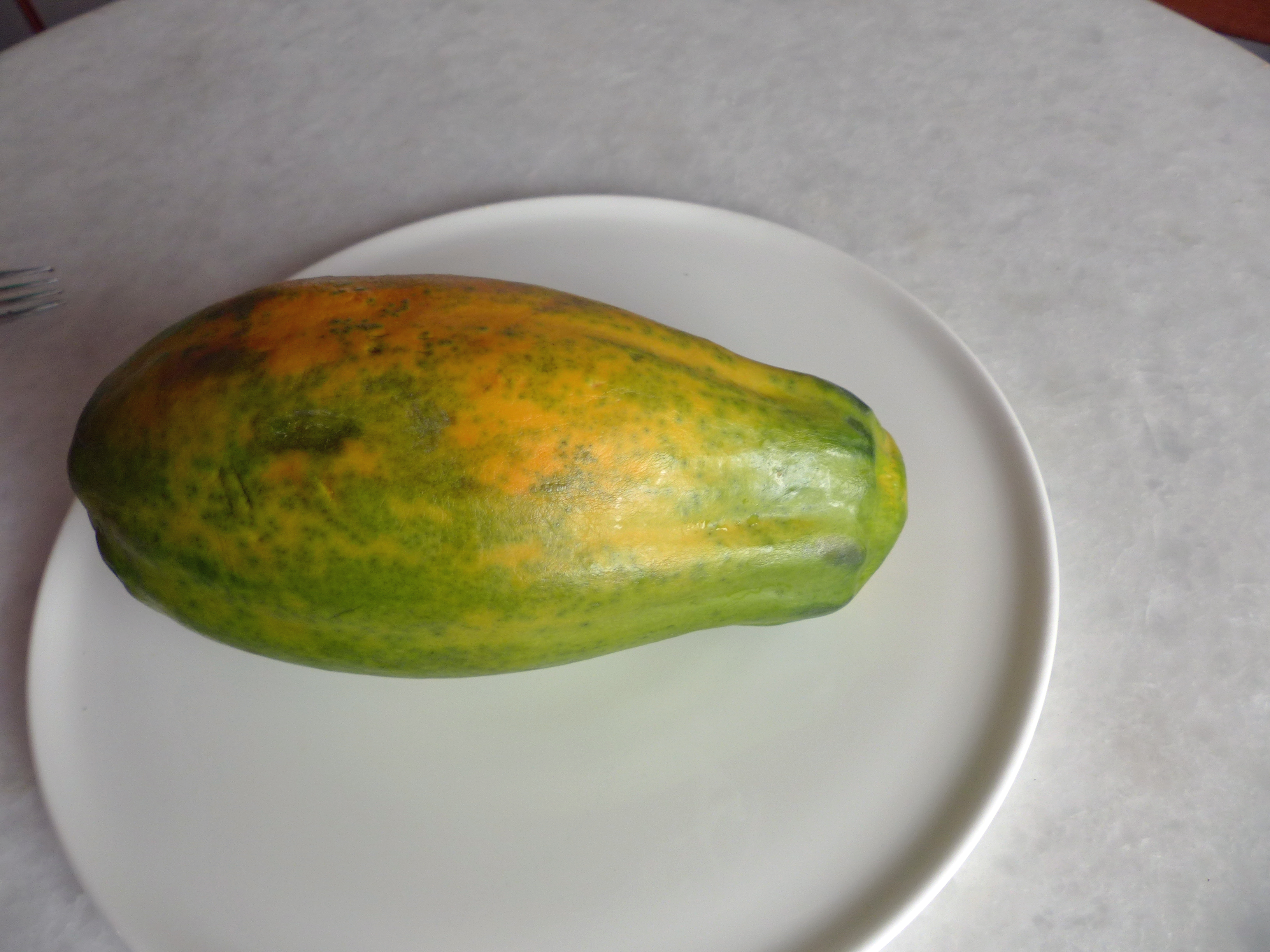 Chicorée-Papaya-Salat