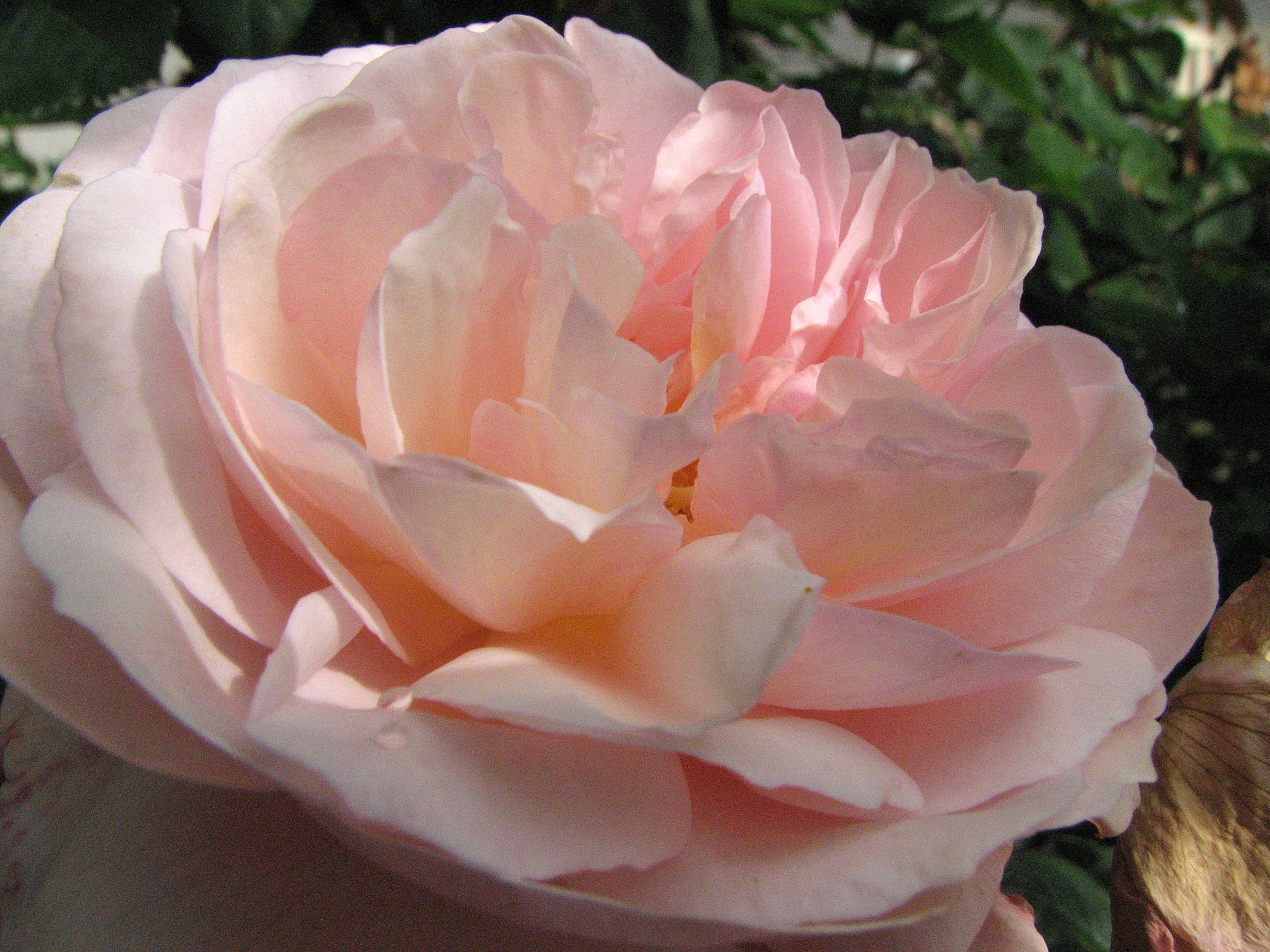 Abraham Darby