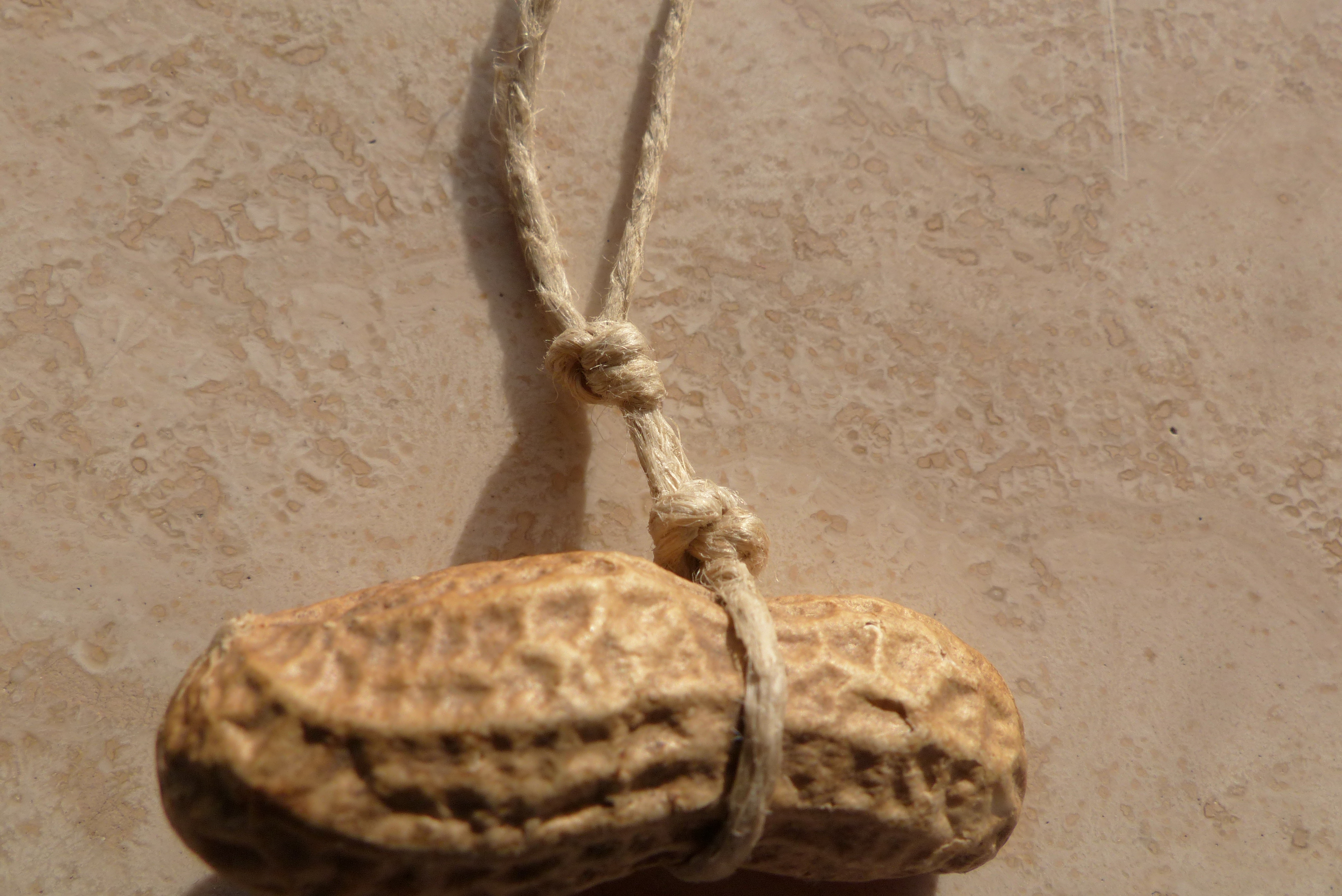 Erdnusskette für Meisen