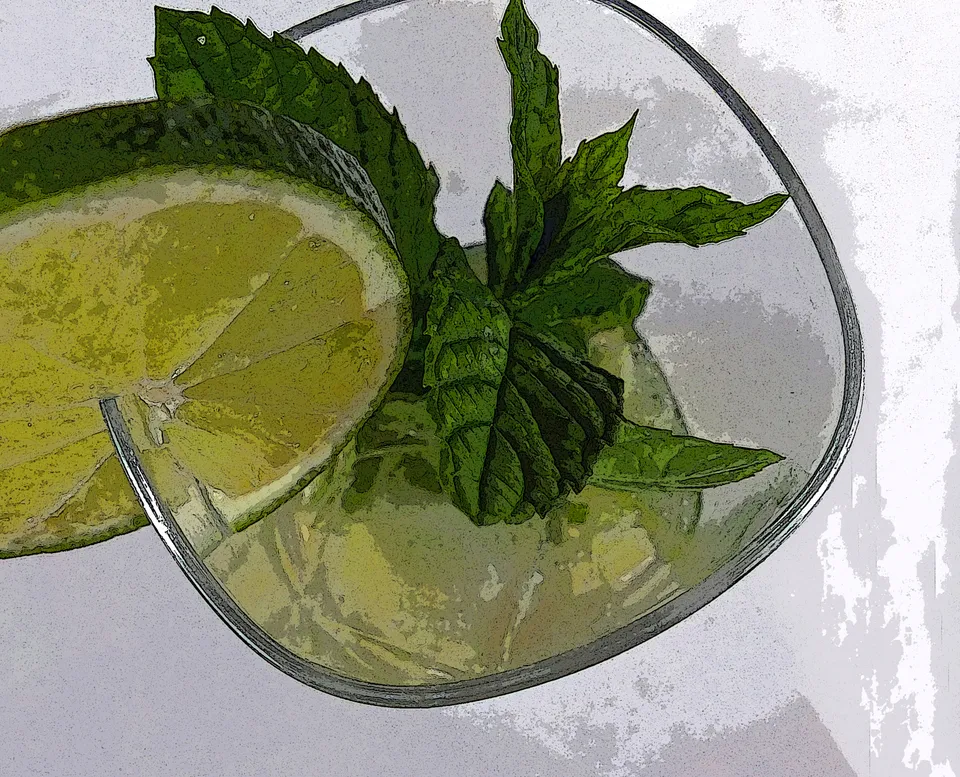 Longdrink "Mojito"