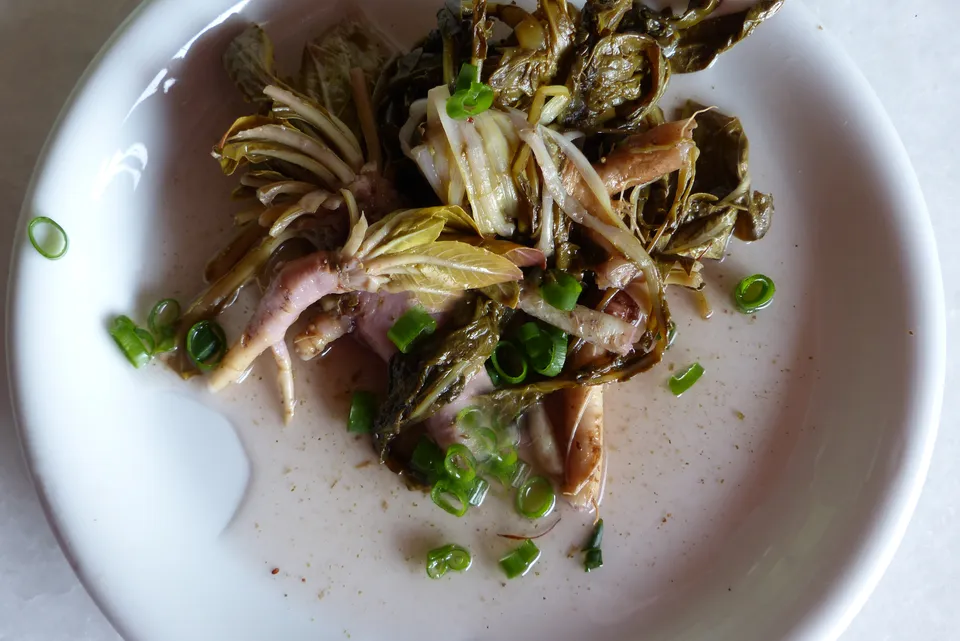 Wilder Wurzelsalat