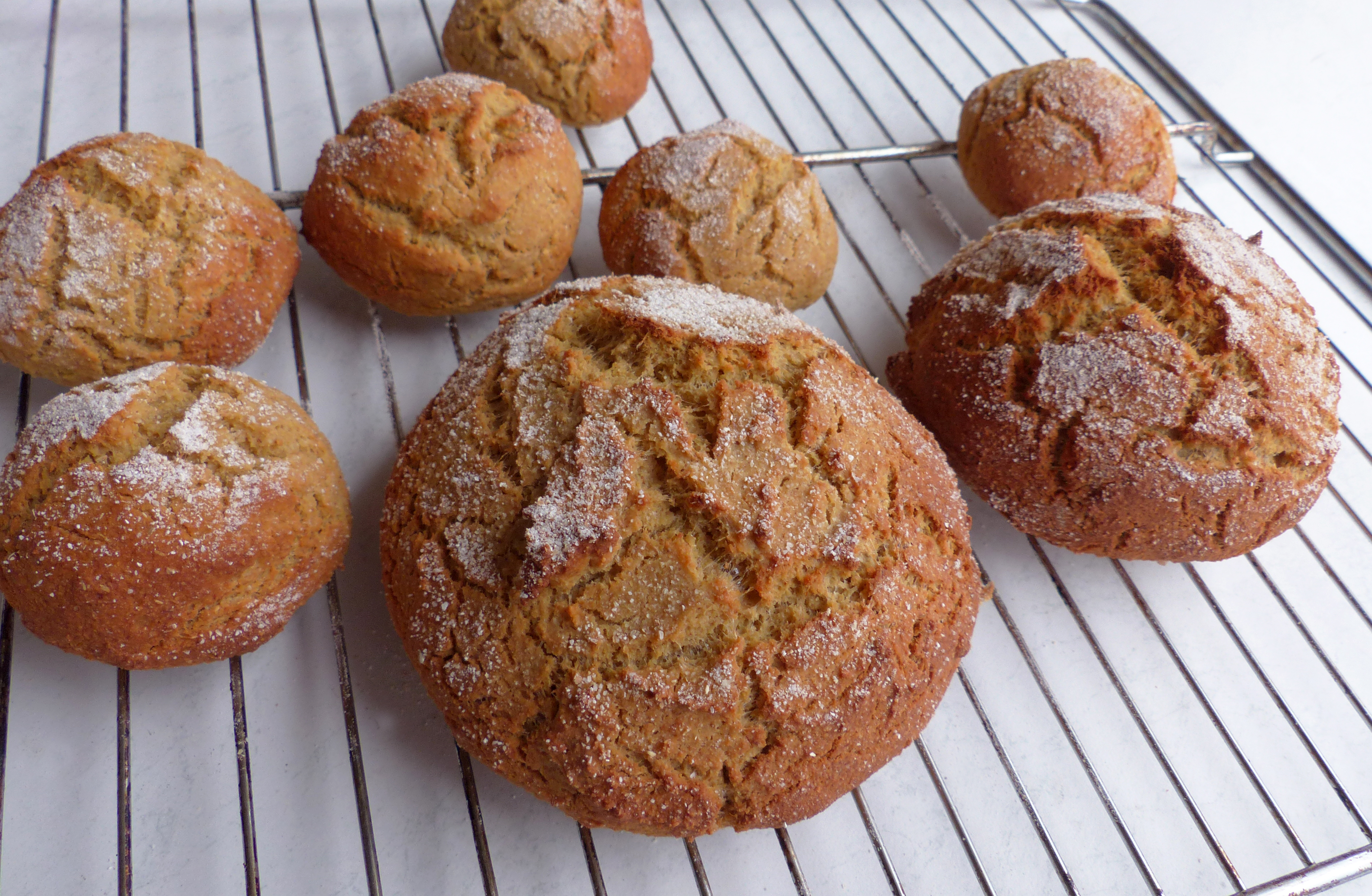 Brot, glutenfrei ohne Fertigbackmischung
