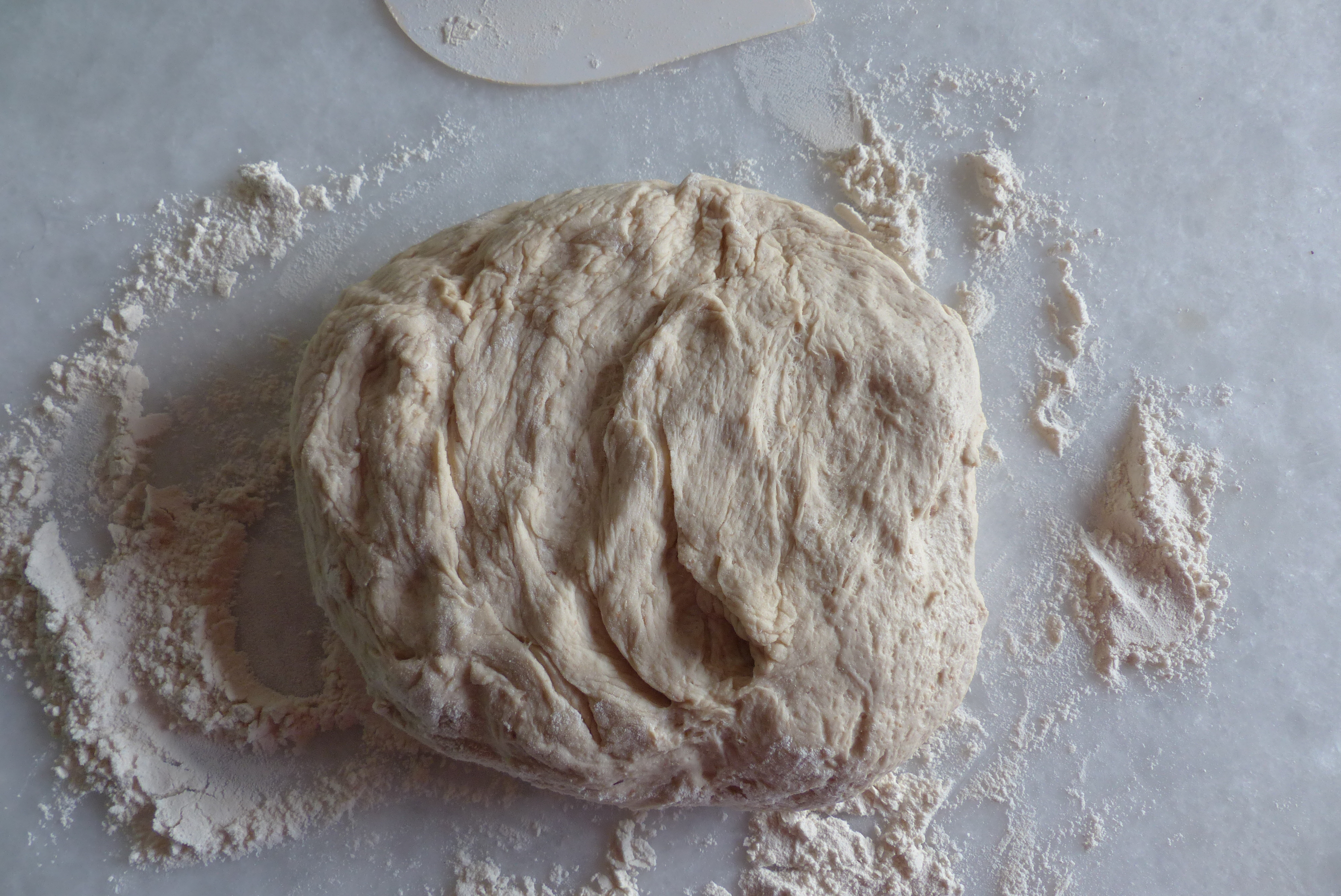 <ol><li>Den Brotteig ohne viel Druck zu einem <em>ovalen Fladen</em> formen.</li></ol>