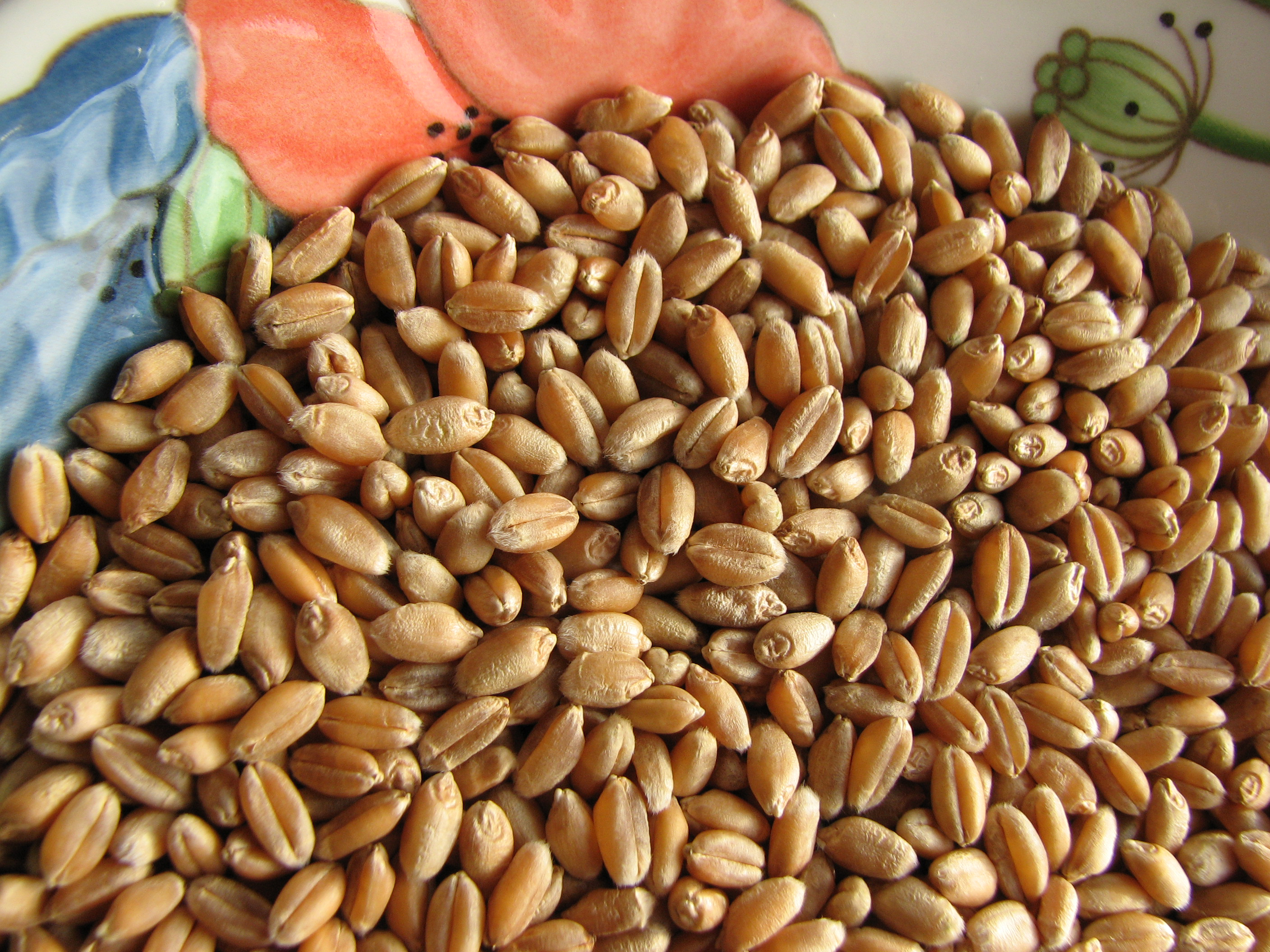 Roggenbrot mit Sauerteig per Brotbackautomaten