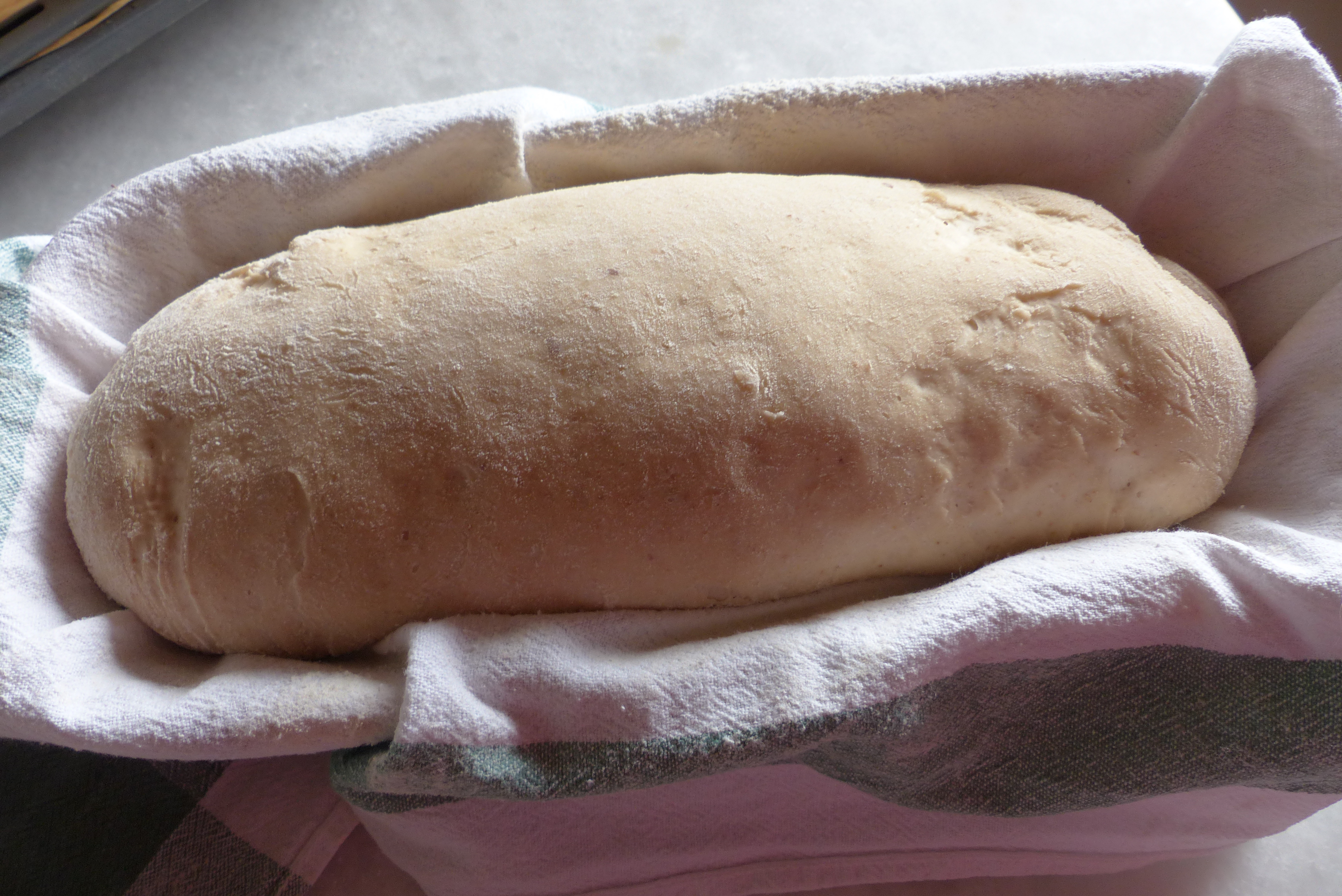 <p>Der Brotteigling wartet auf das Backen.</p>