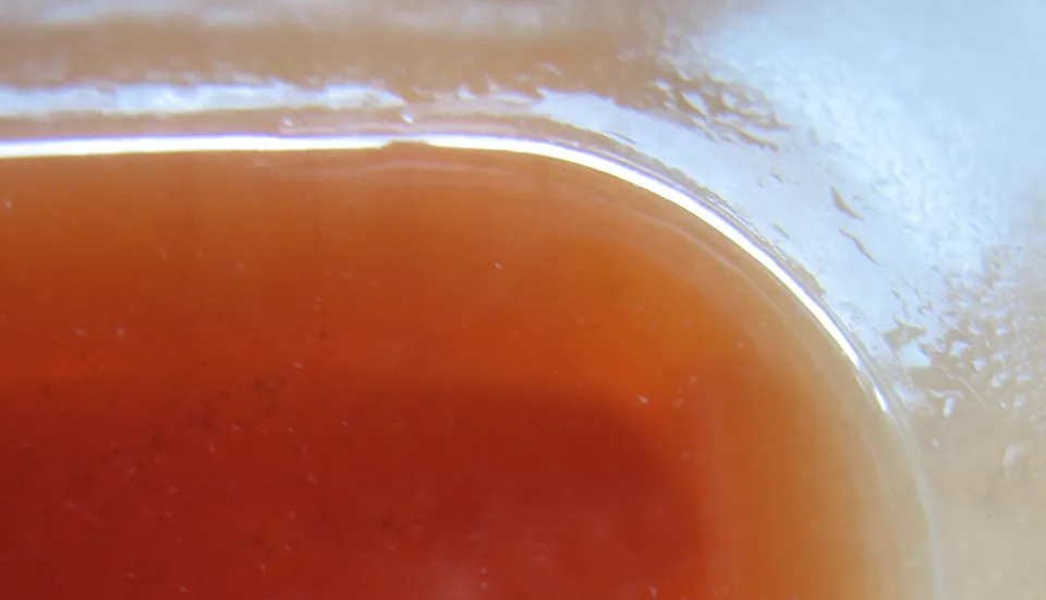 Pflanzenauszug mit Öl, Heilöle selber machen