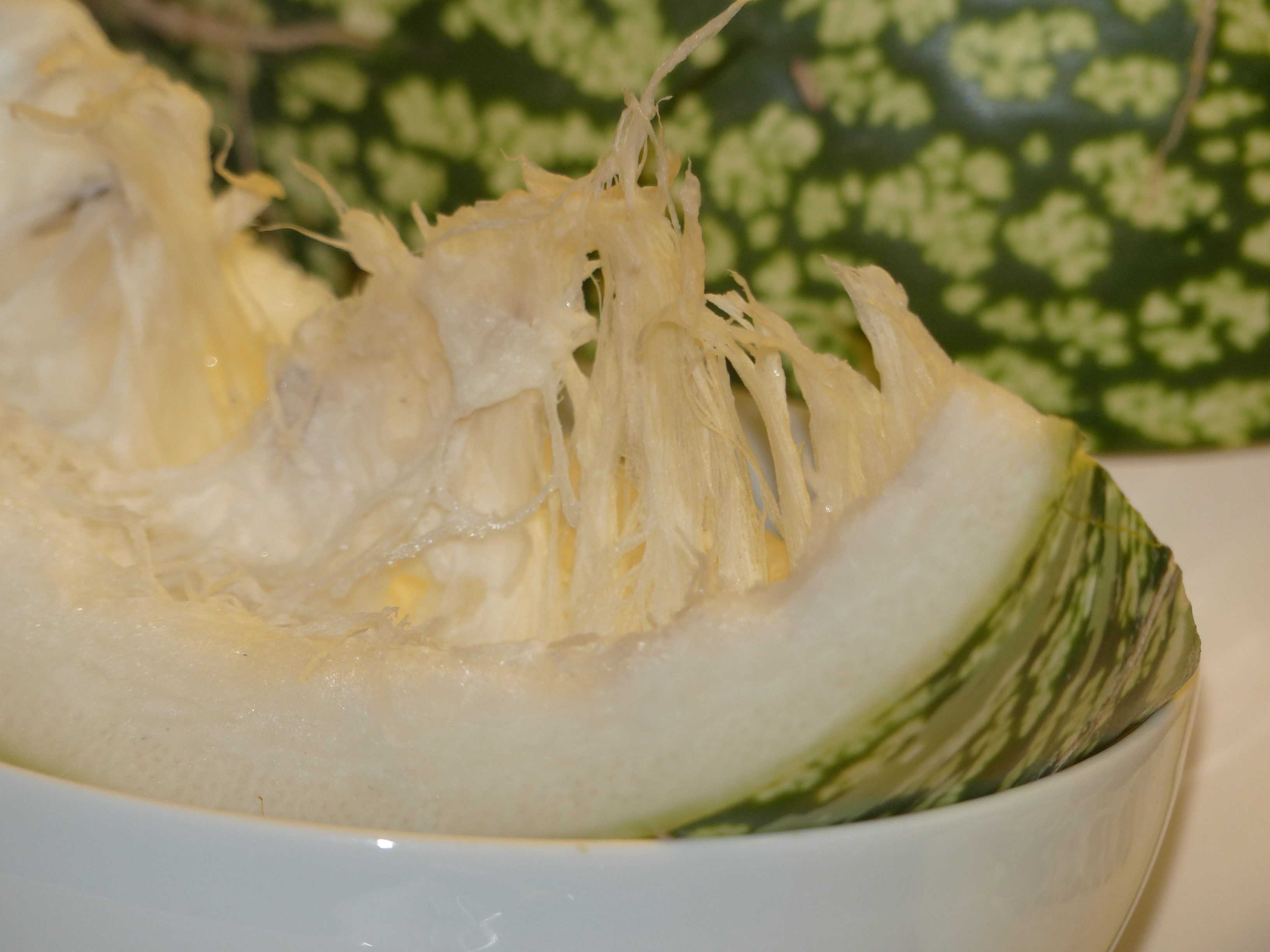 Feigenblattkürbis