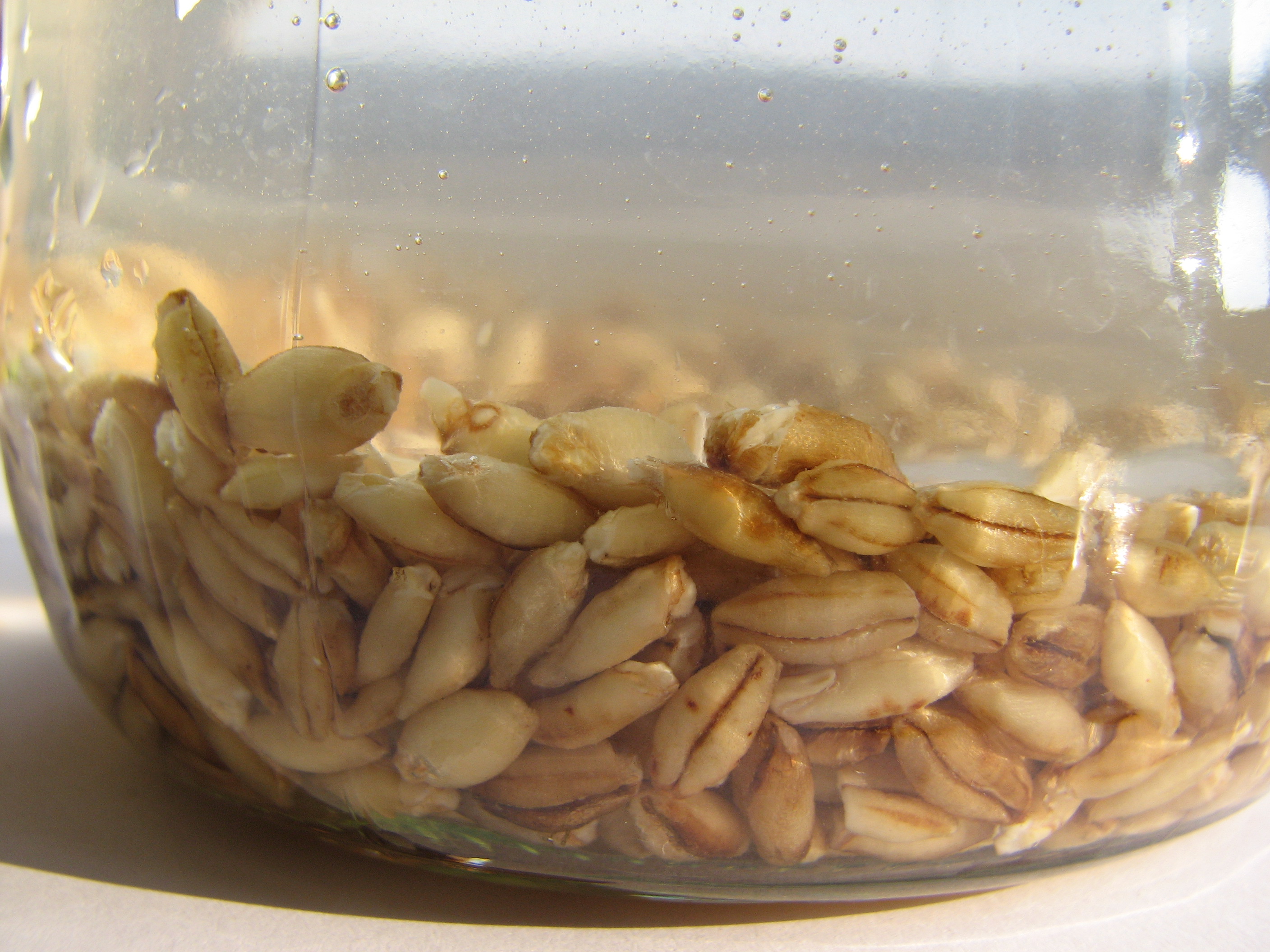 Gerstenrisotto, Orzotto