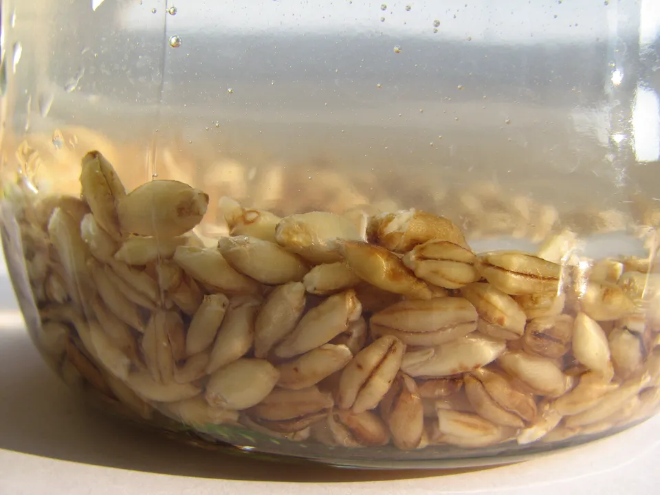 Gerstenrisotto, Orzotto