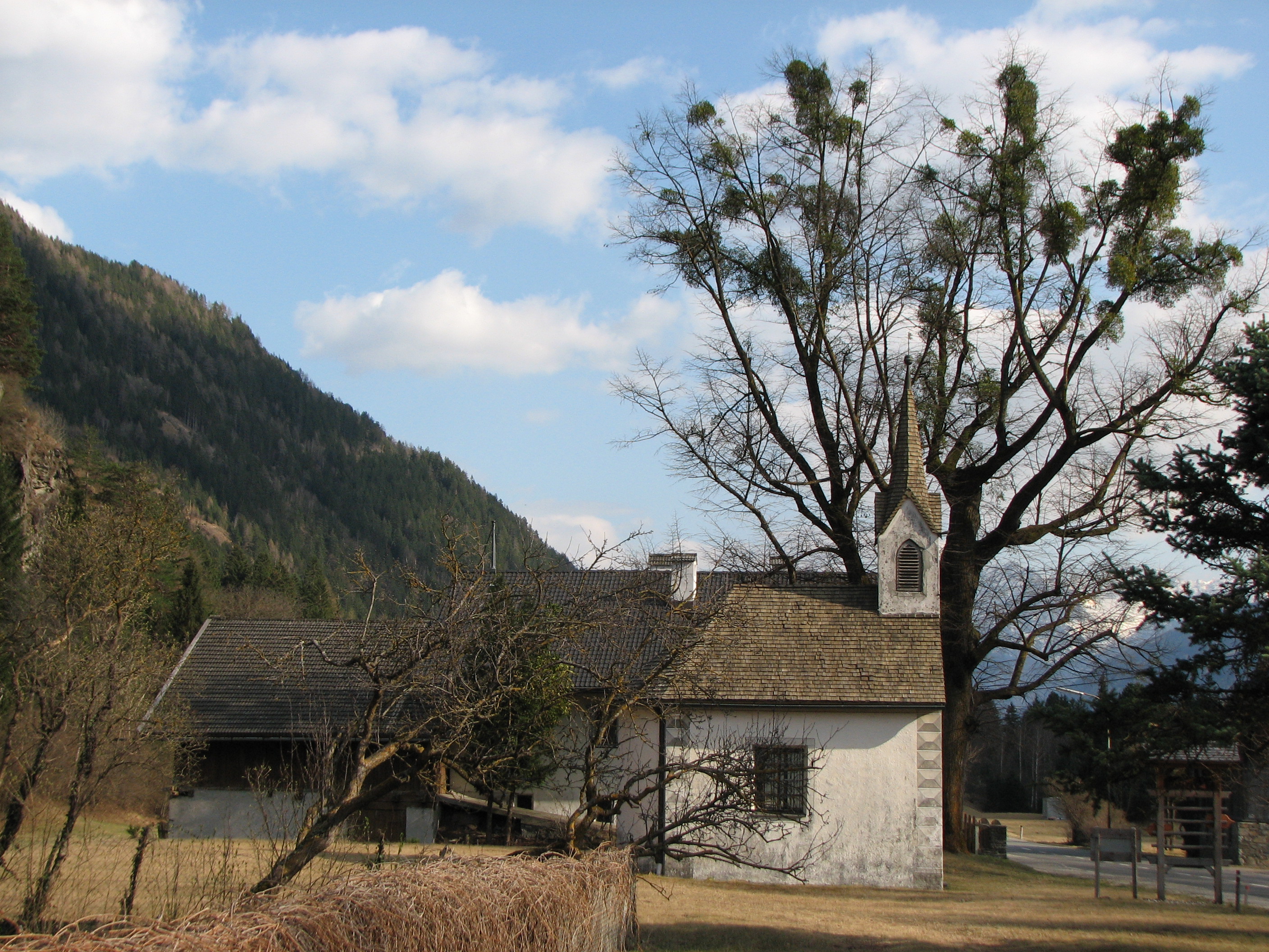 Mistel
