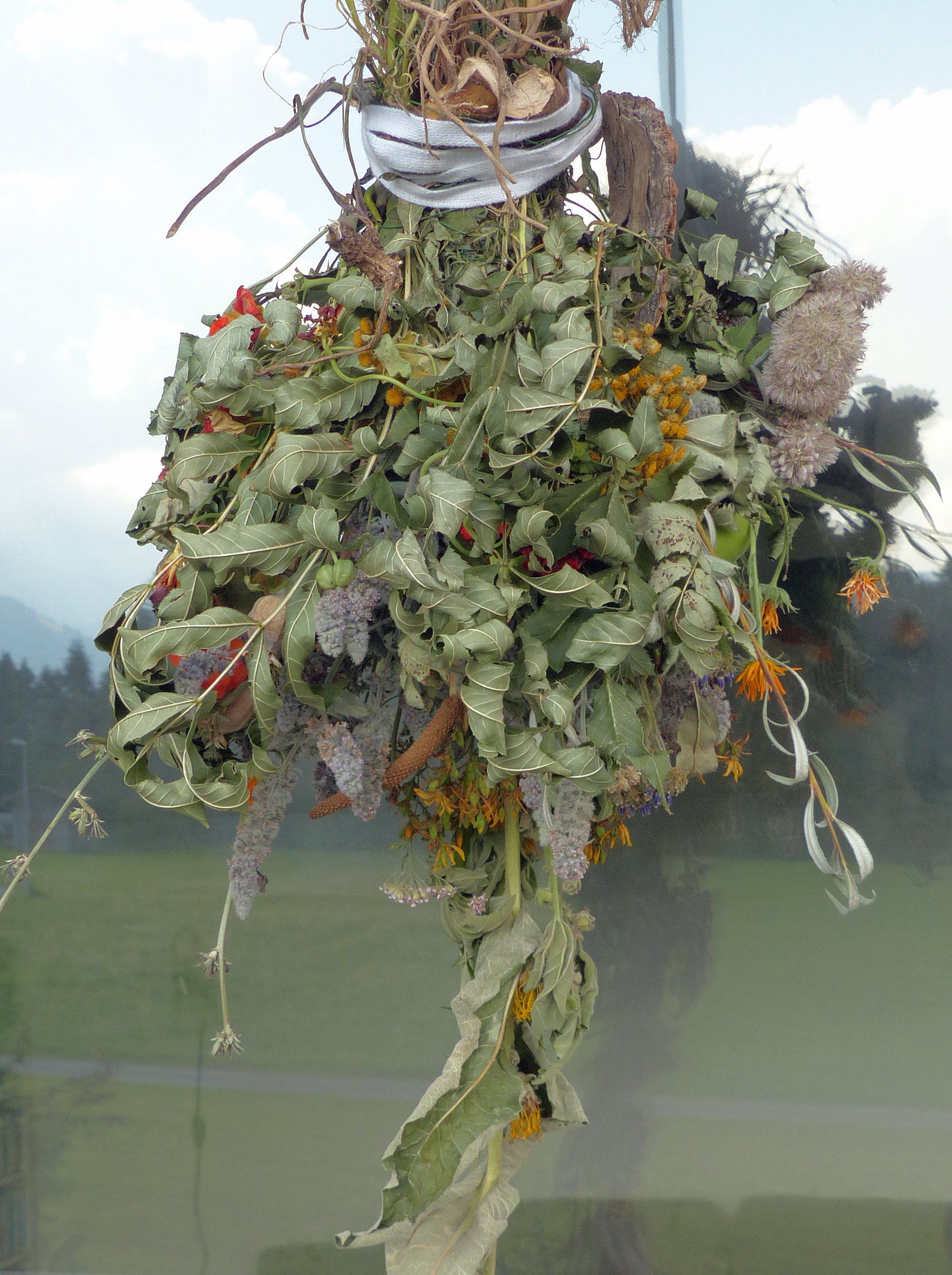 <p>Kräuterbuschen, aufgehängt zum Trocknen.</p>