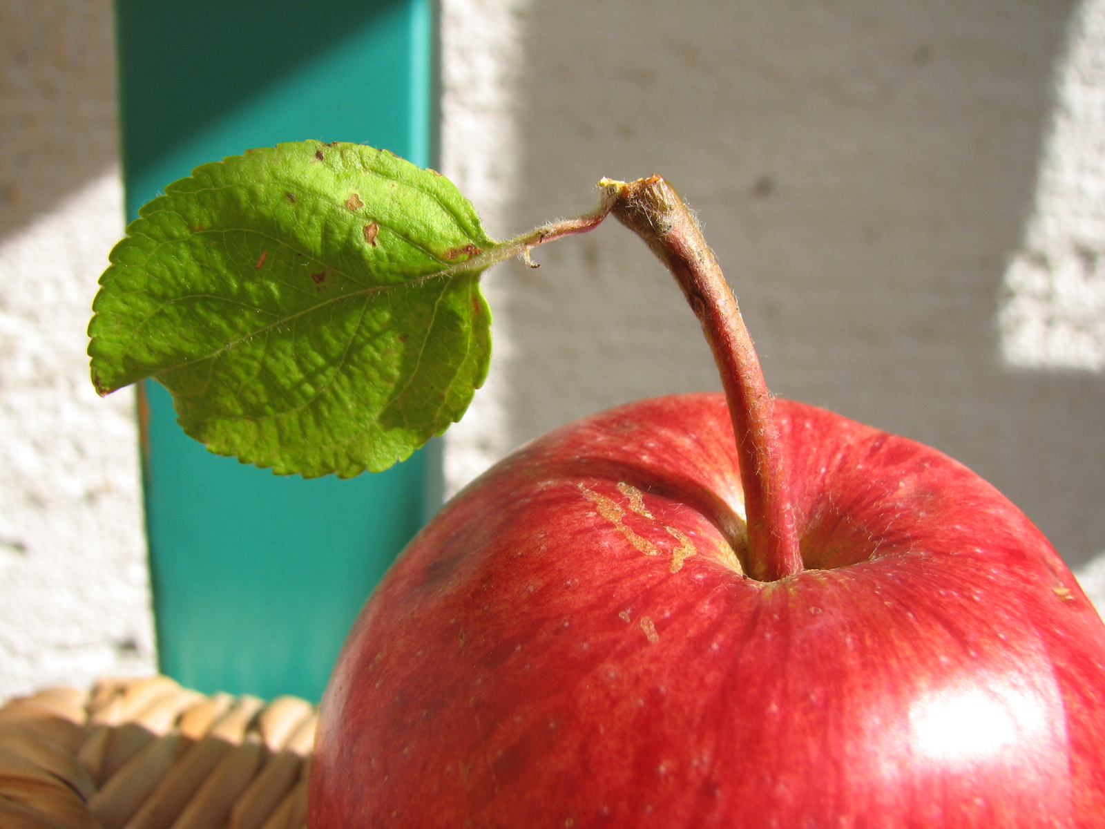 Apfel