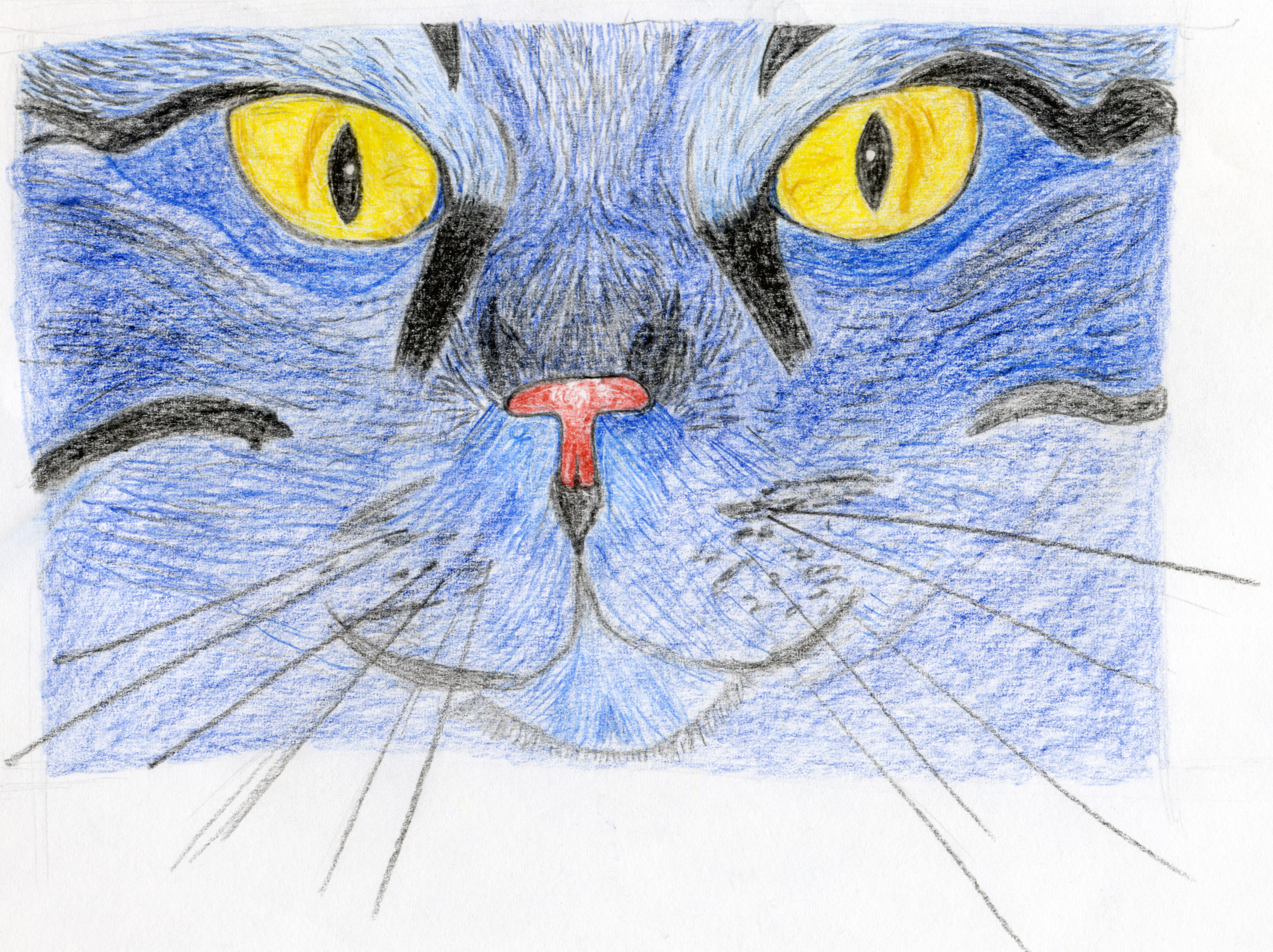 Kater, verdufte!