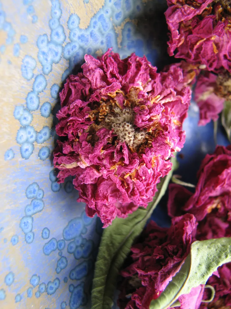 Direktanwendung getrockneter Heilpflanzen