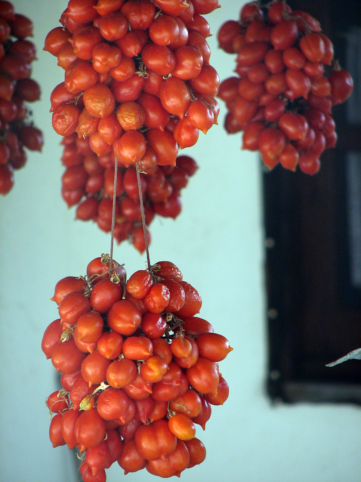 Tomate