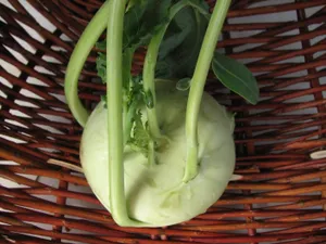 Kohlrabi