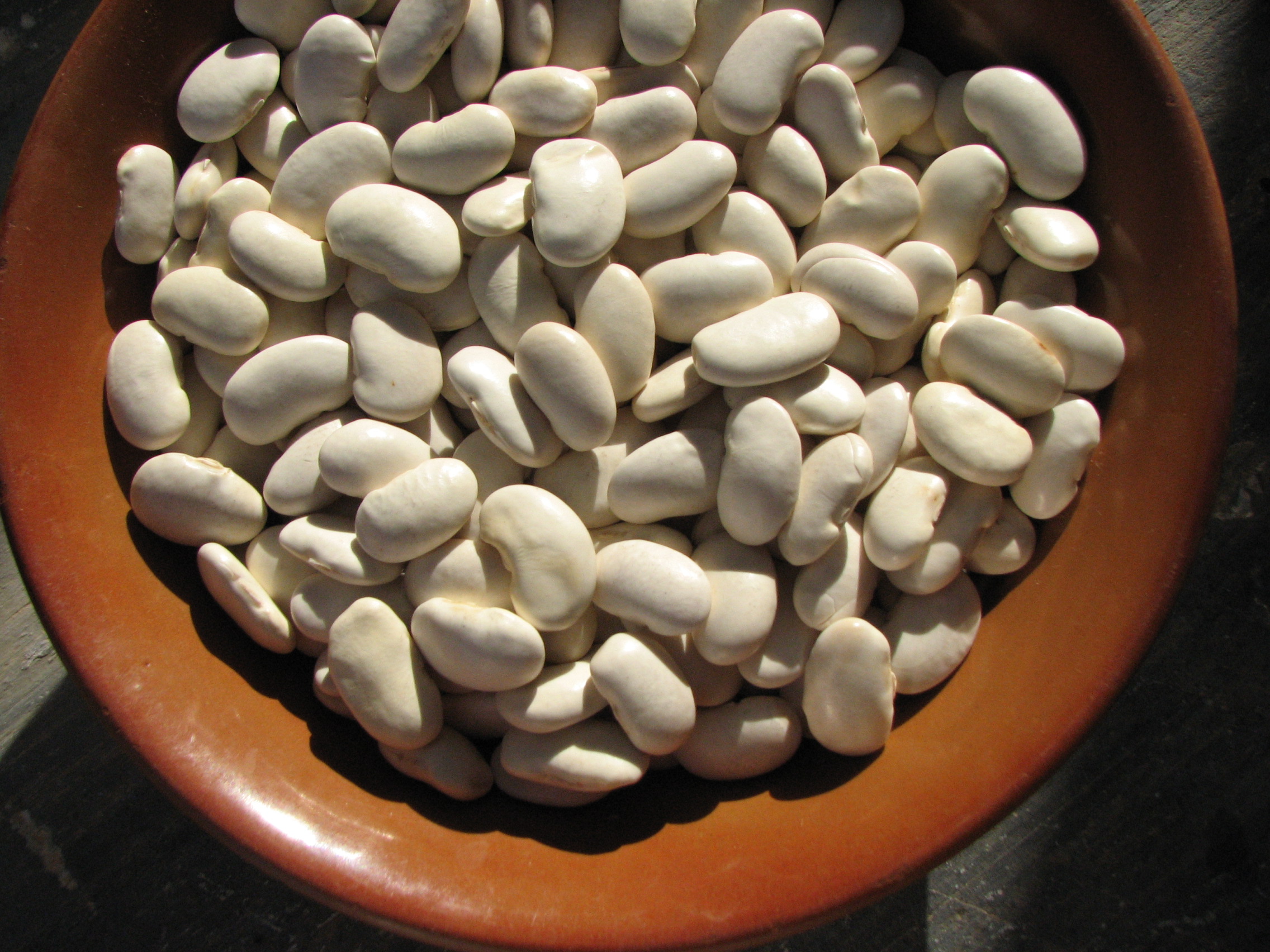 <p>Getrocknete Riesenbohnen (Feuerbohnen) für „Bohnen mit Tomaten und Salbei“</p>