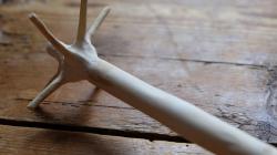 Quirl aus Baumspitze