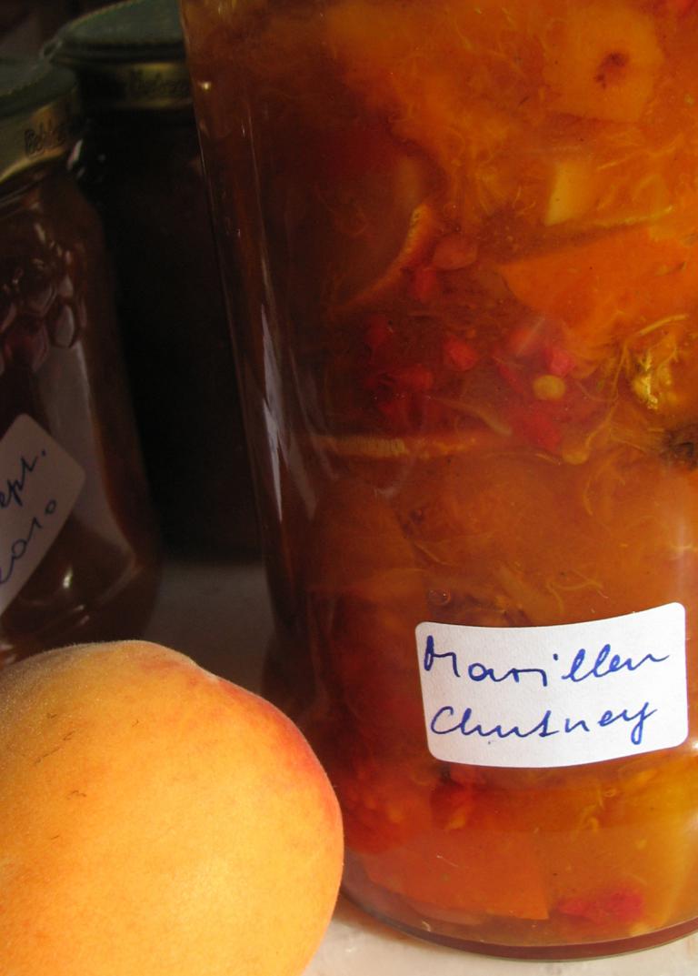 Marillen-Chutney, Aprikosen-Chutney