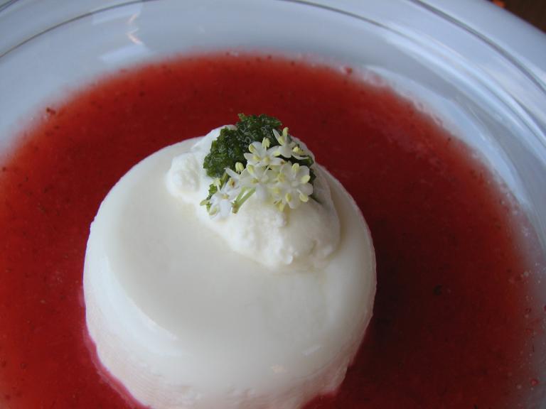 Holunderblüten - Panna Cotta