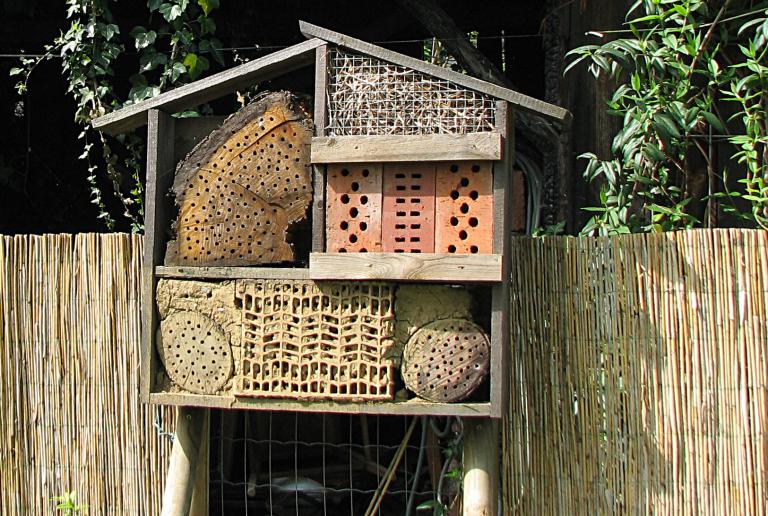Insektenhotel bauen
