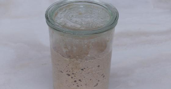 10 kann von einem fertig gekauften sauerteig vermehren Ideen