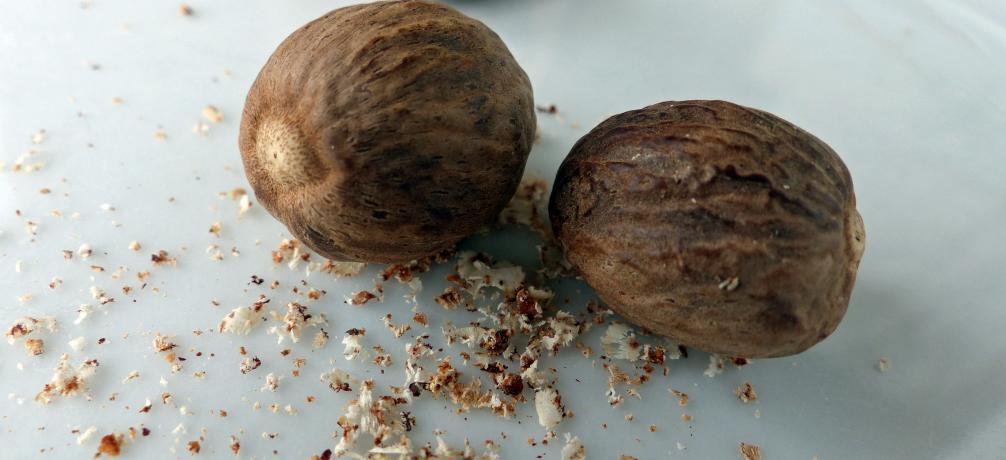 Muskatnussbaum, Myristica fragrans